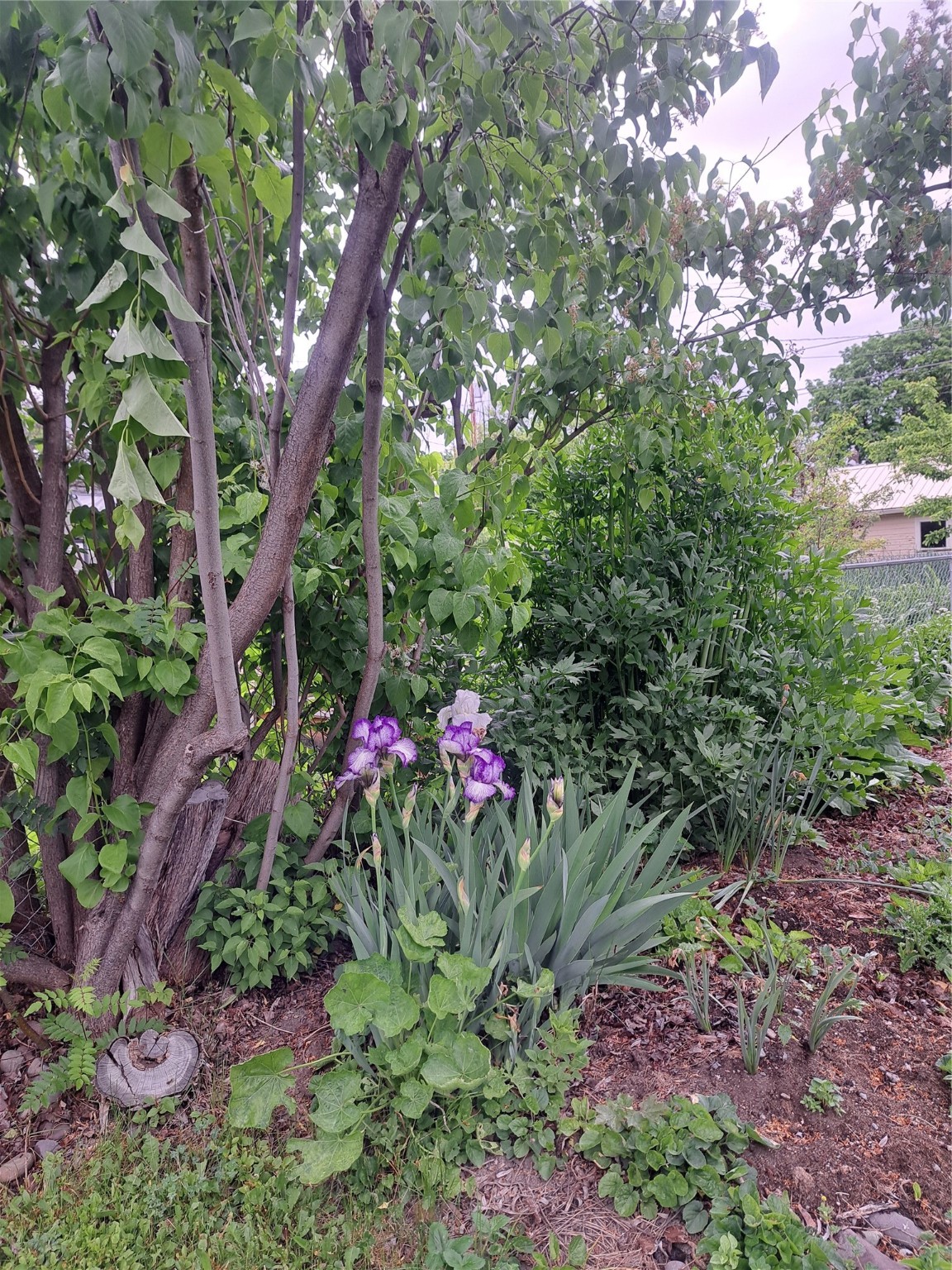 563 1st Avenue East North