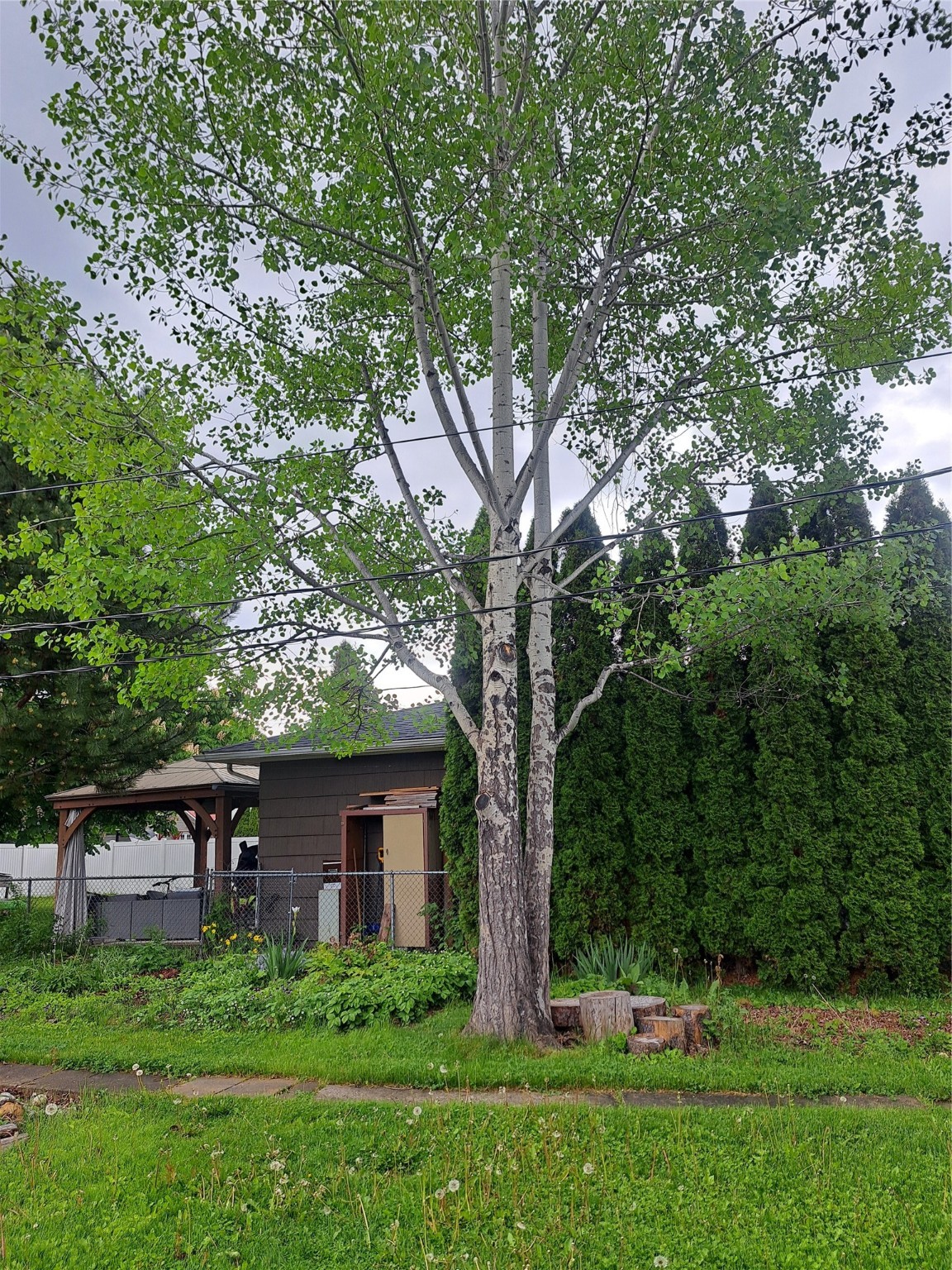 563 1st Avenue East North