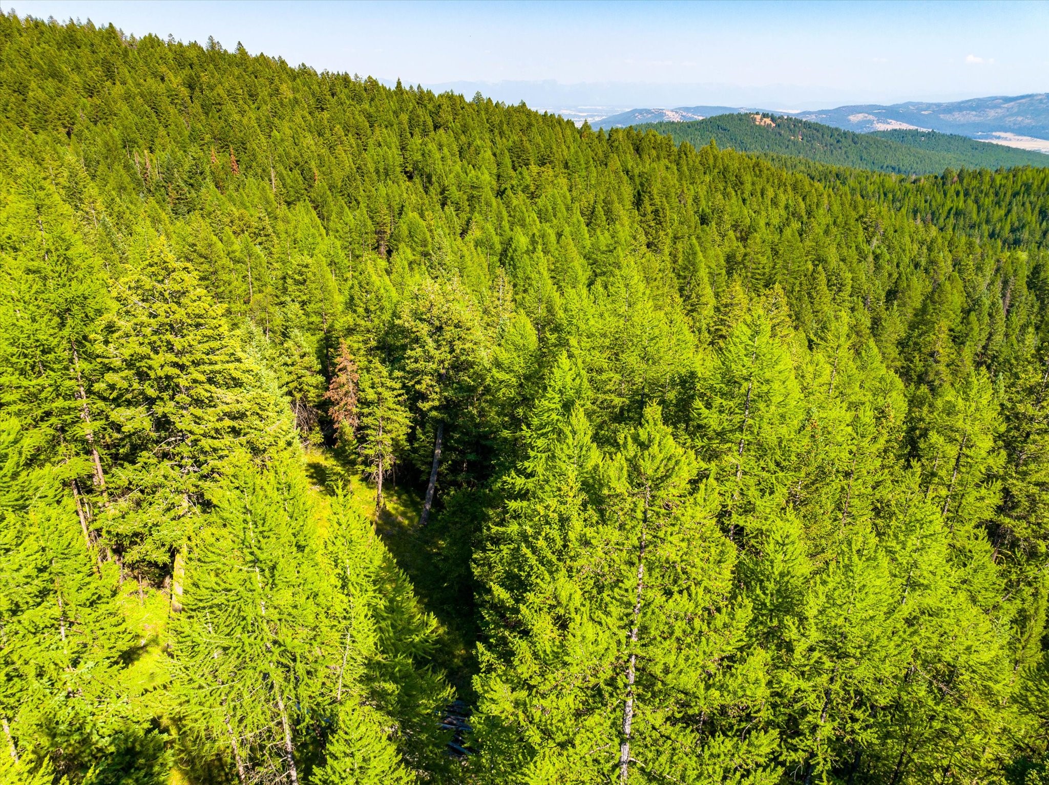 1708 Ashley Lake Trail