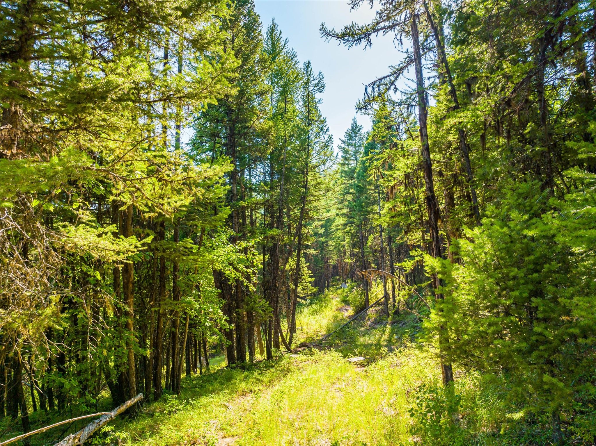 1708 Ashley Lake Trail