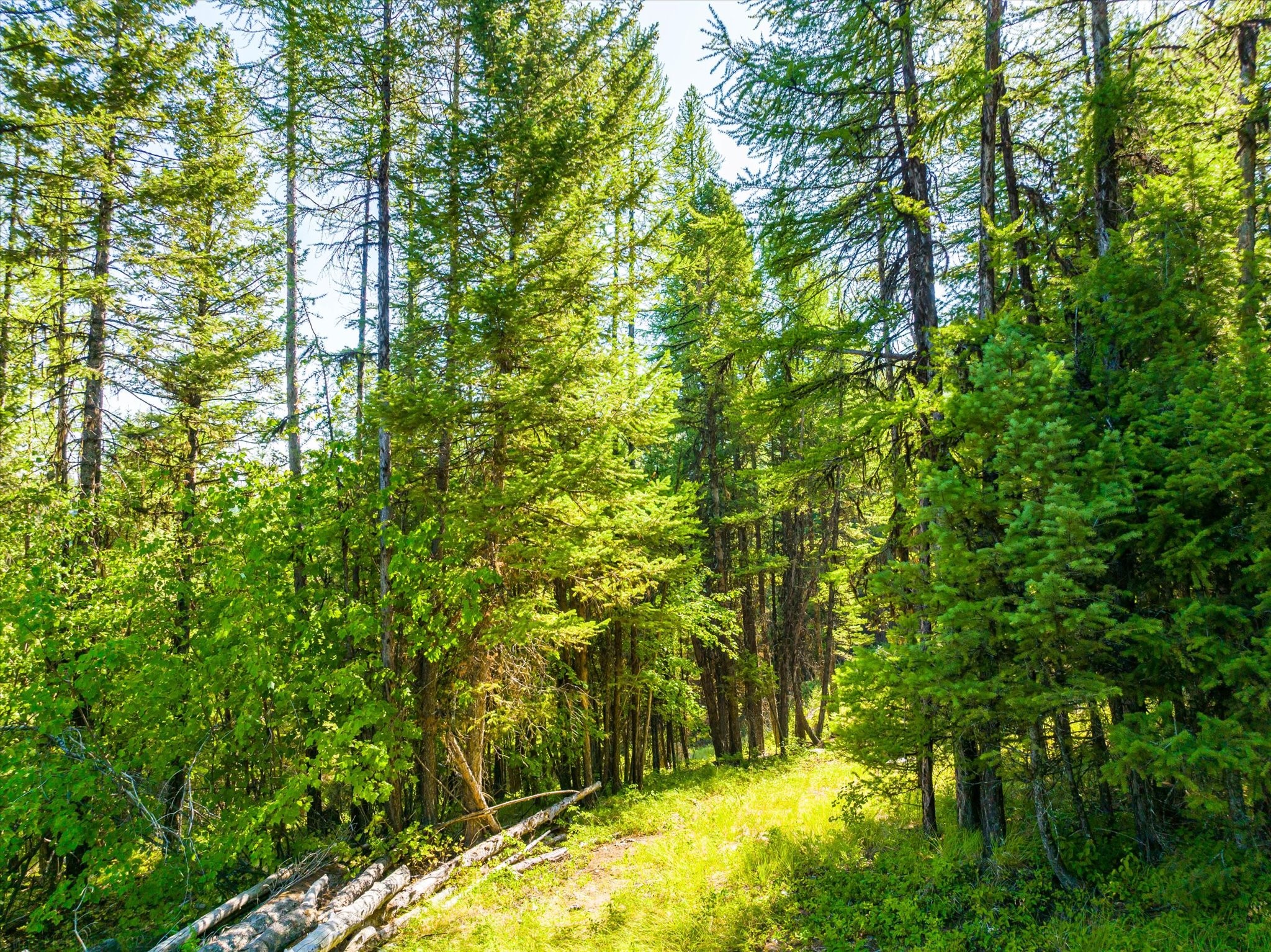 1708 Ashley Lake Trail