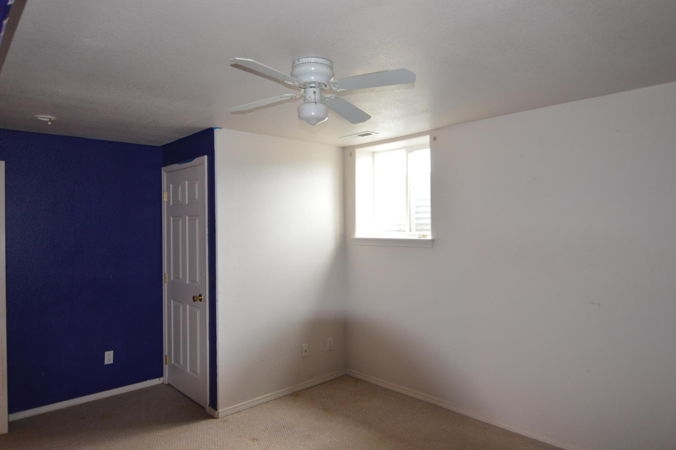 2230 Whalebone Drive