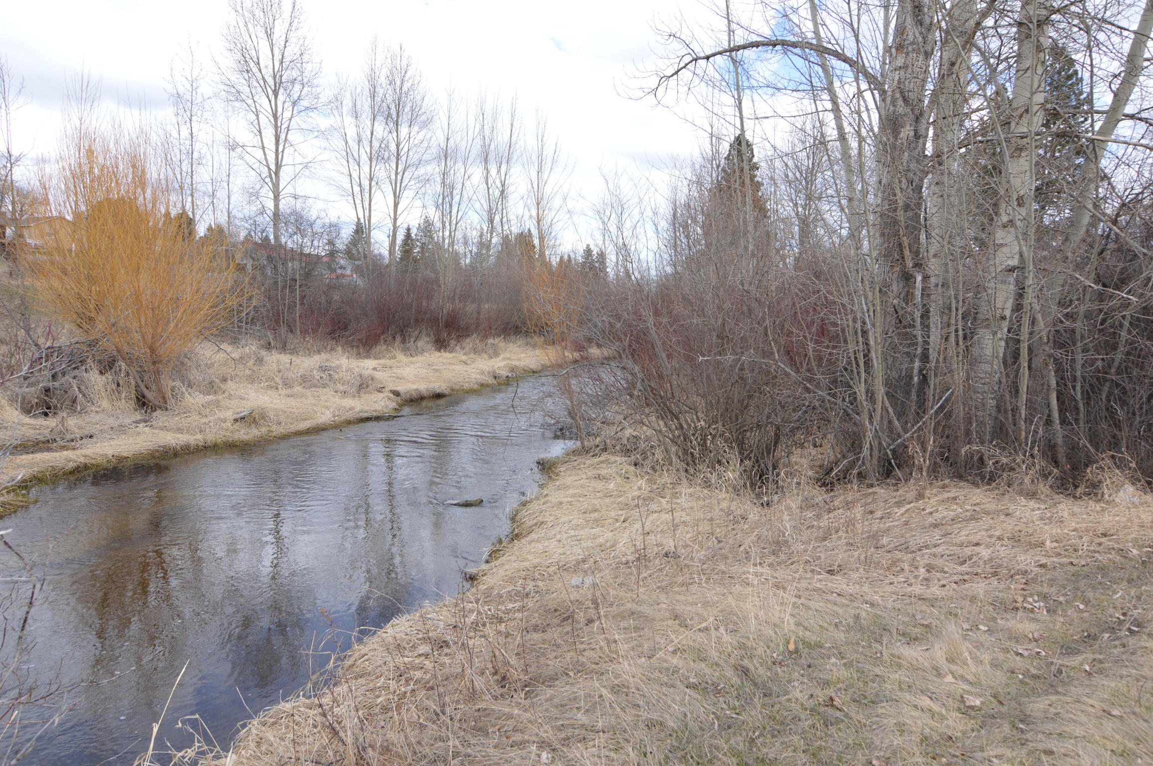 2230 Whalebone Drive