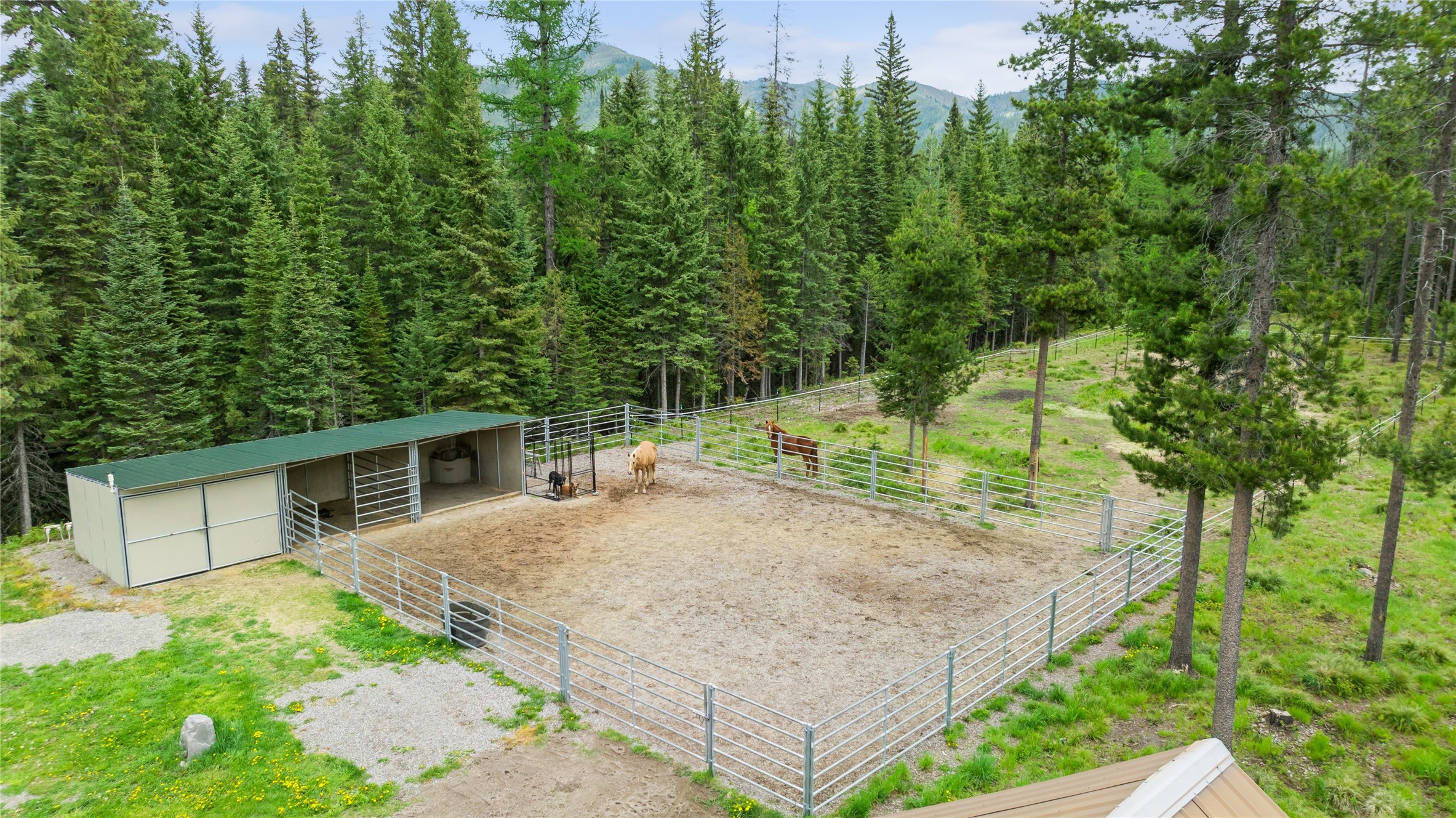 4749 Smokey Bear Lane