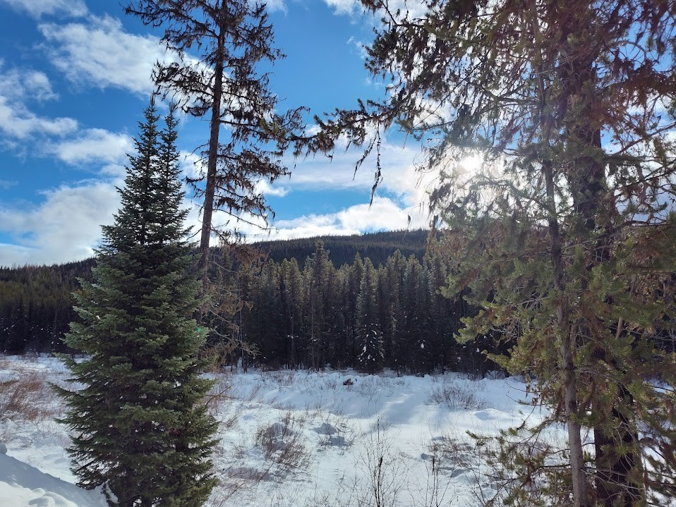 Lot 10 Good Creek Road