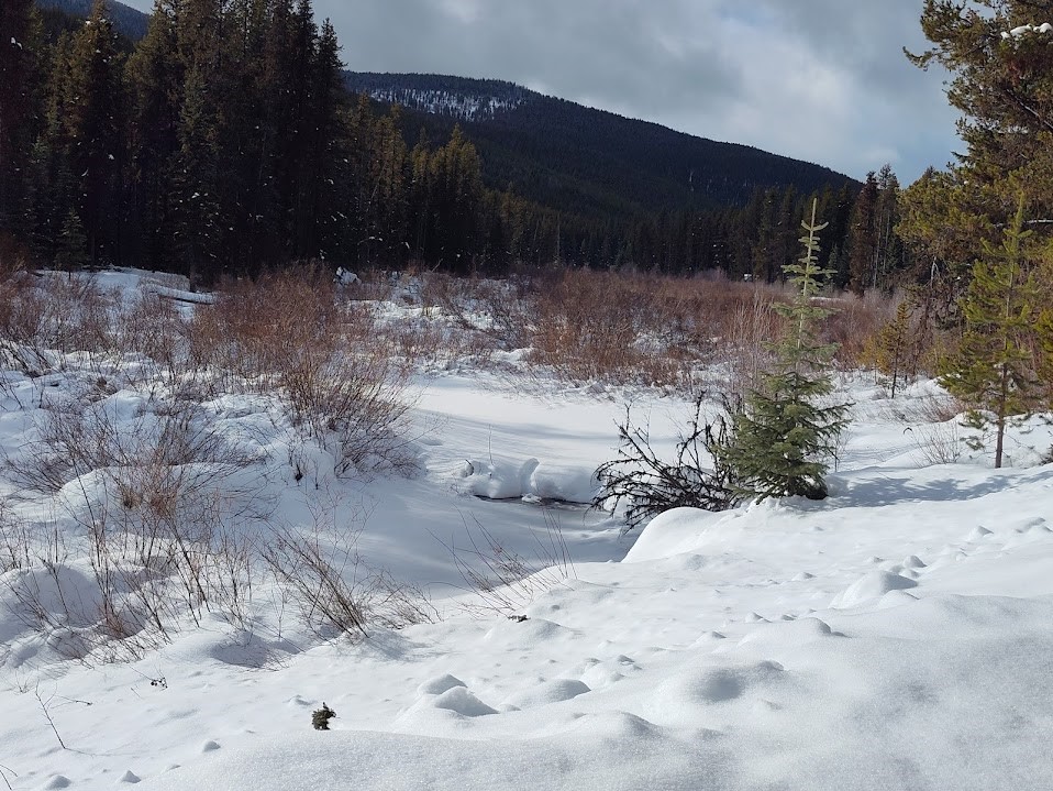 Lot 10 Good Creek Road