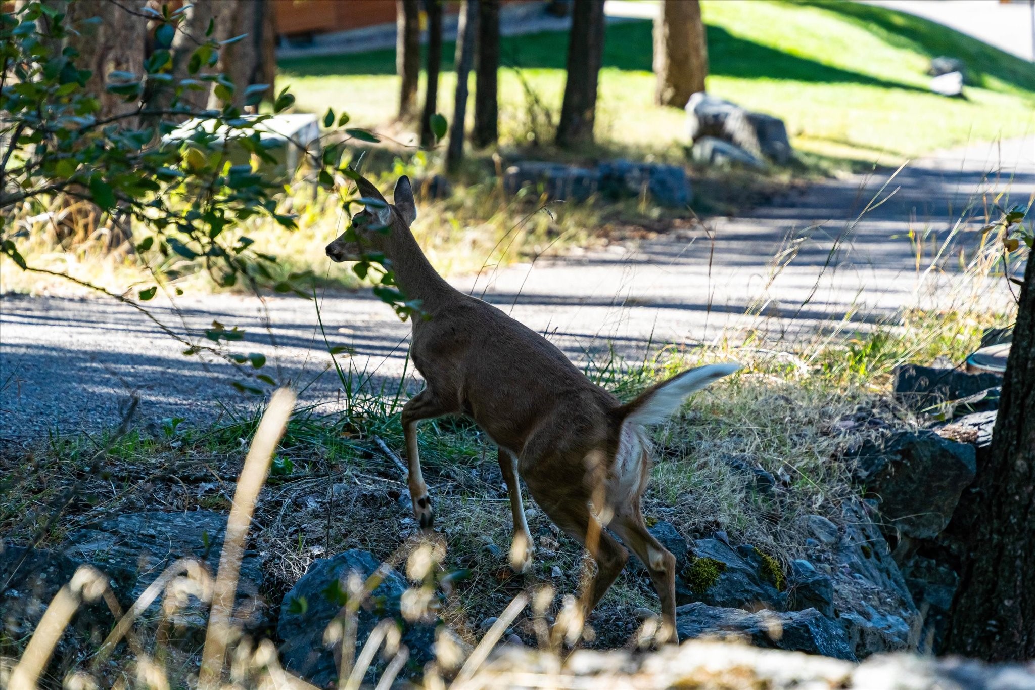 266 Eagle Bend Drive