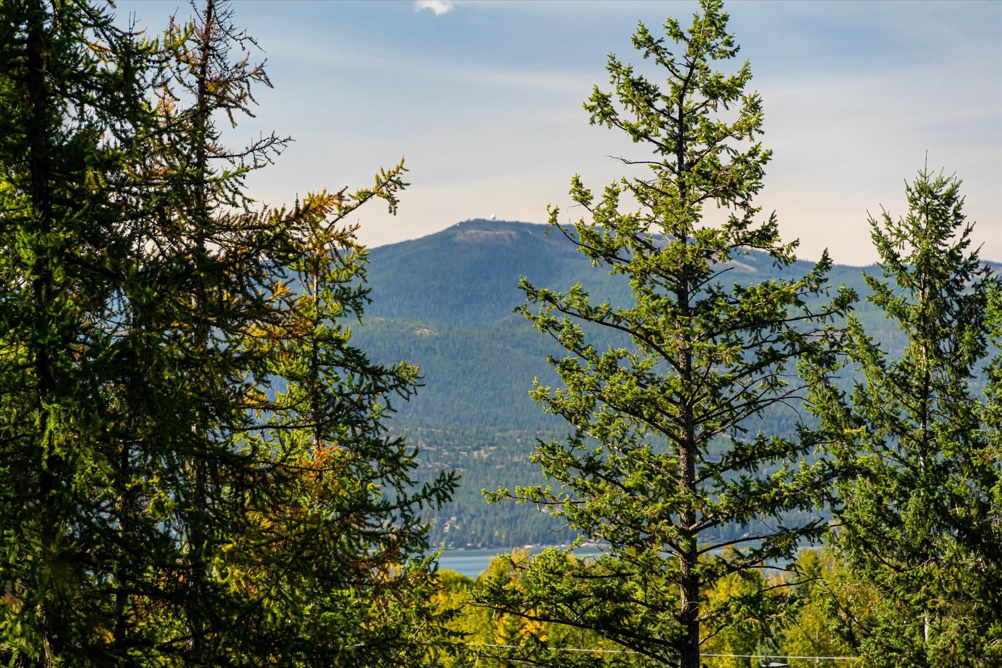 266 Eagle Bend Drive