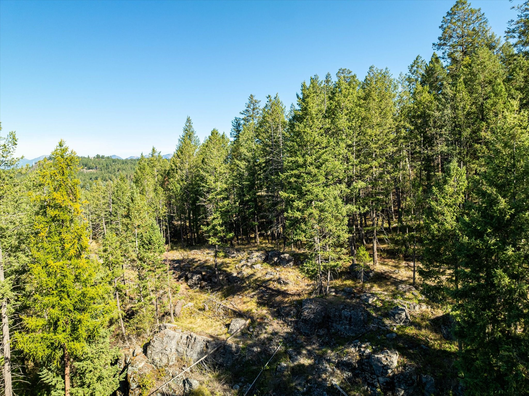 266 Eagle Bend Drive