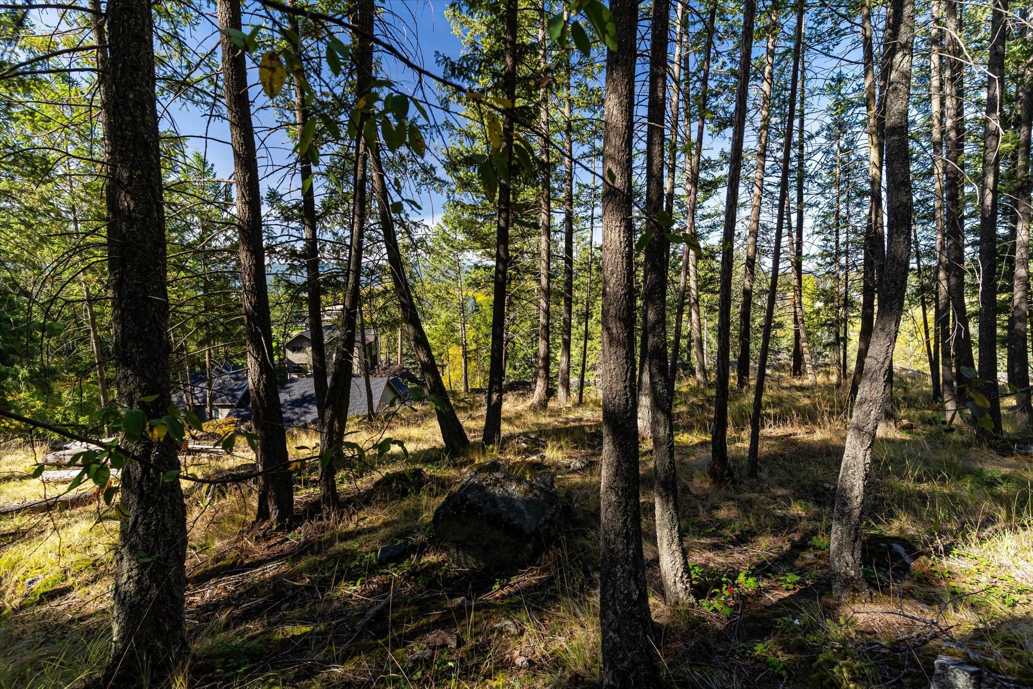 266 Eagle Bend Drive