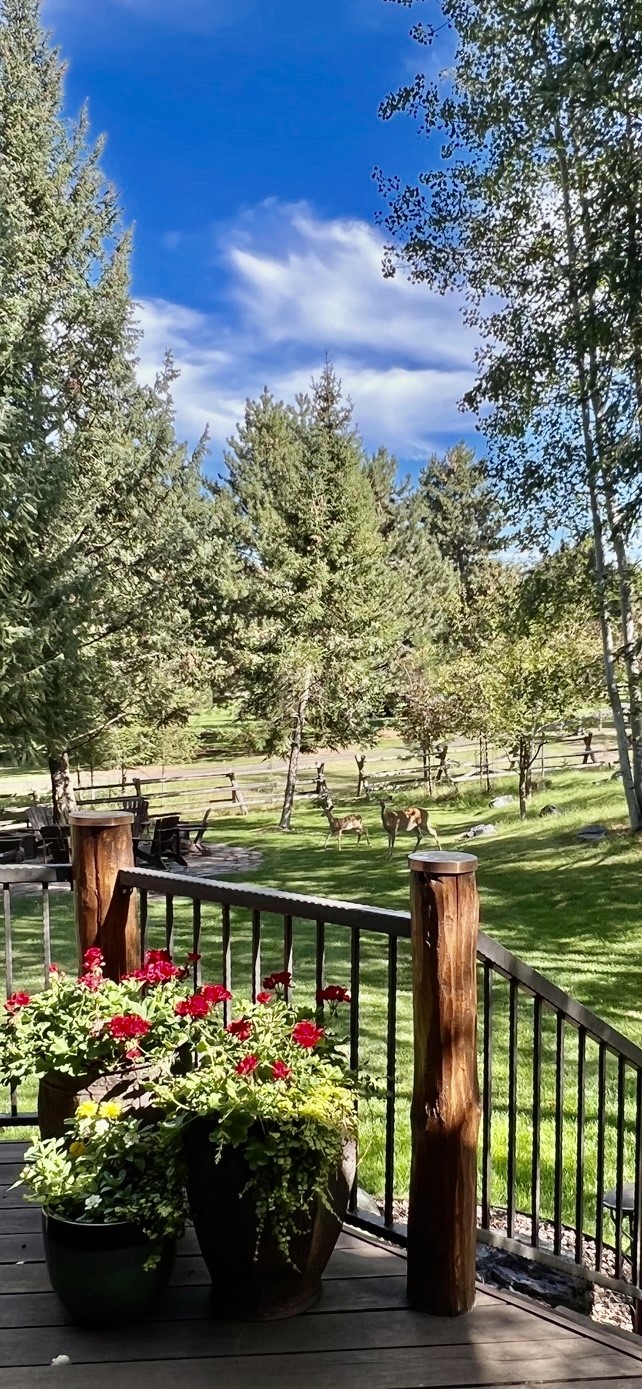 1055 Whispering Rock Road