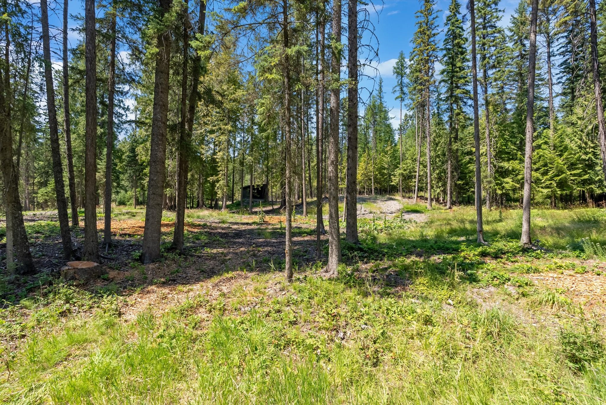 770 Northwoods Drive