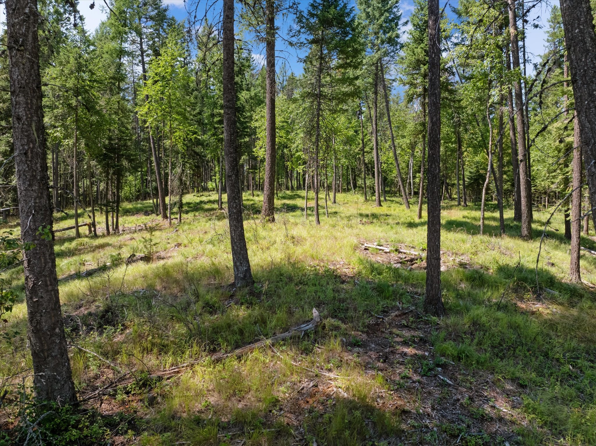 770 Northwoods Drive