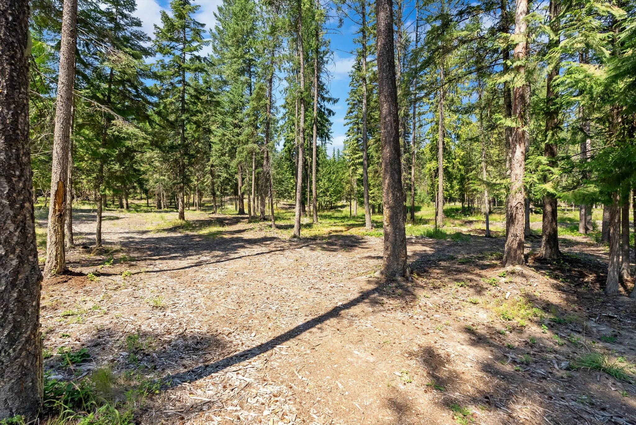 770 Northwoods Drive