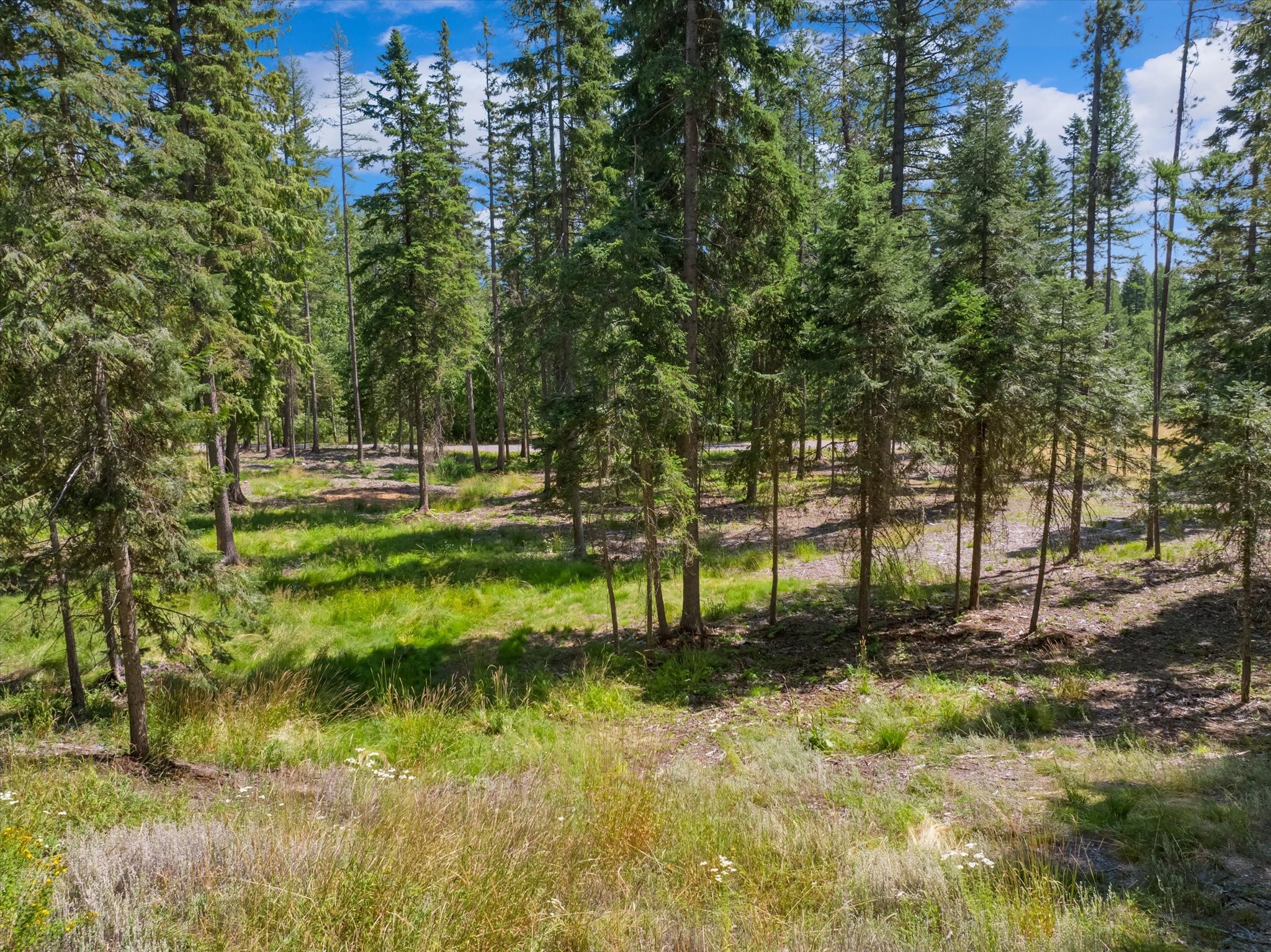 770 Northwoods Drive