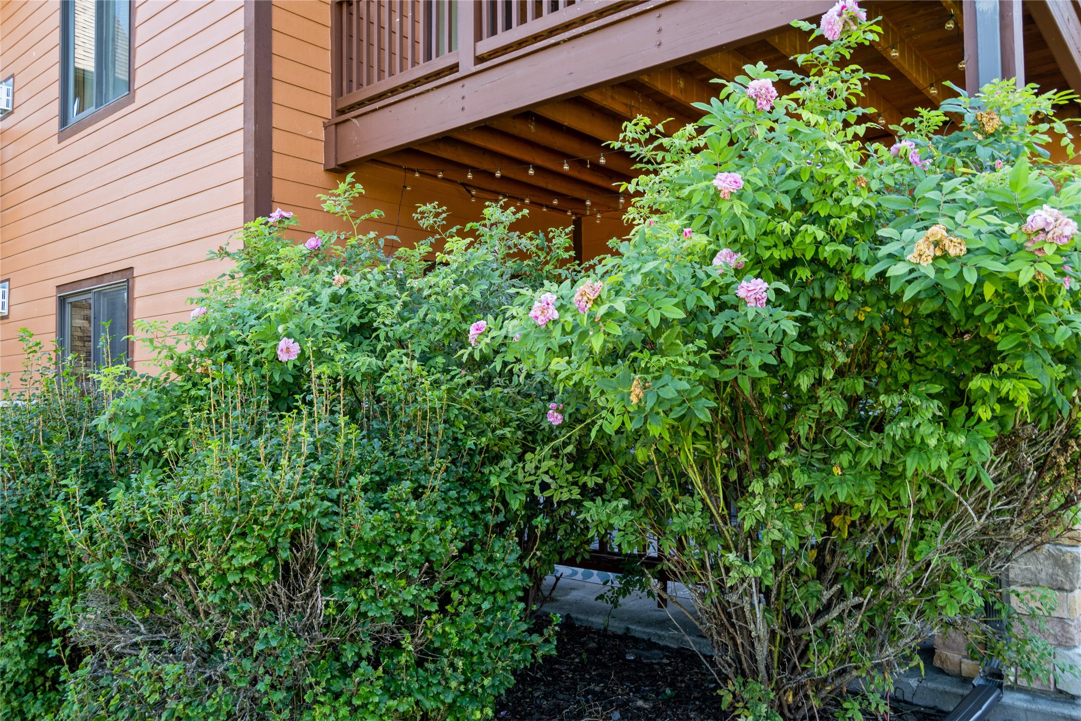 6227 Shiloh Avenue D