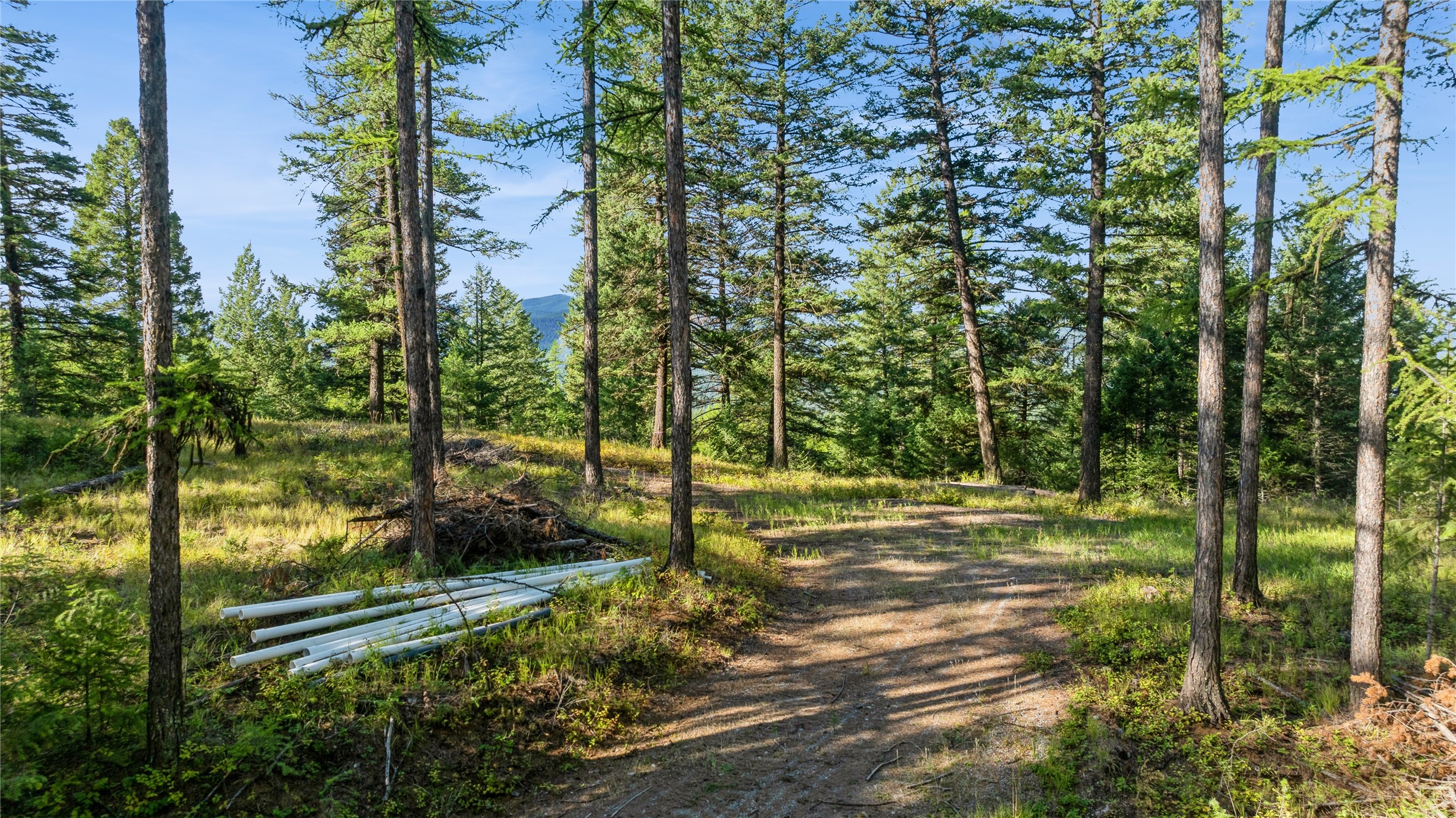 473 Antler Ridge Road