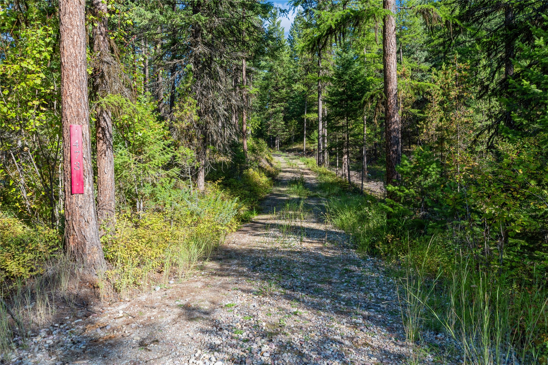 473 Antler Ridge Road