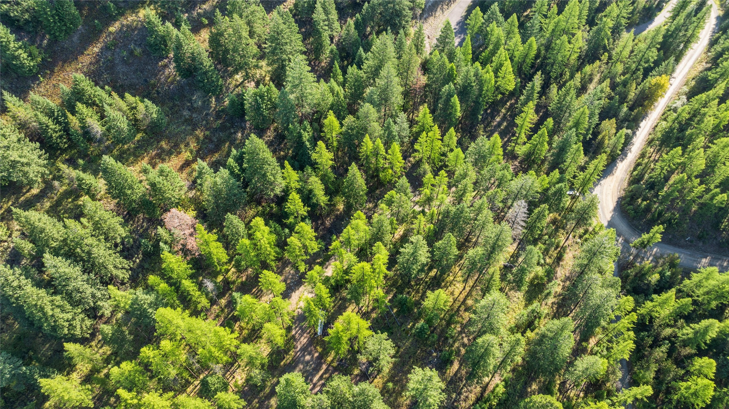 473 Antler Ridge Road