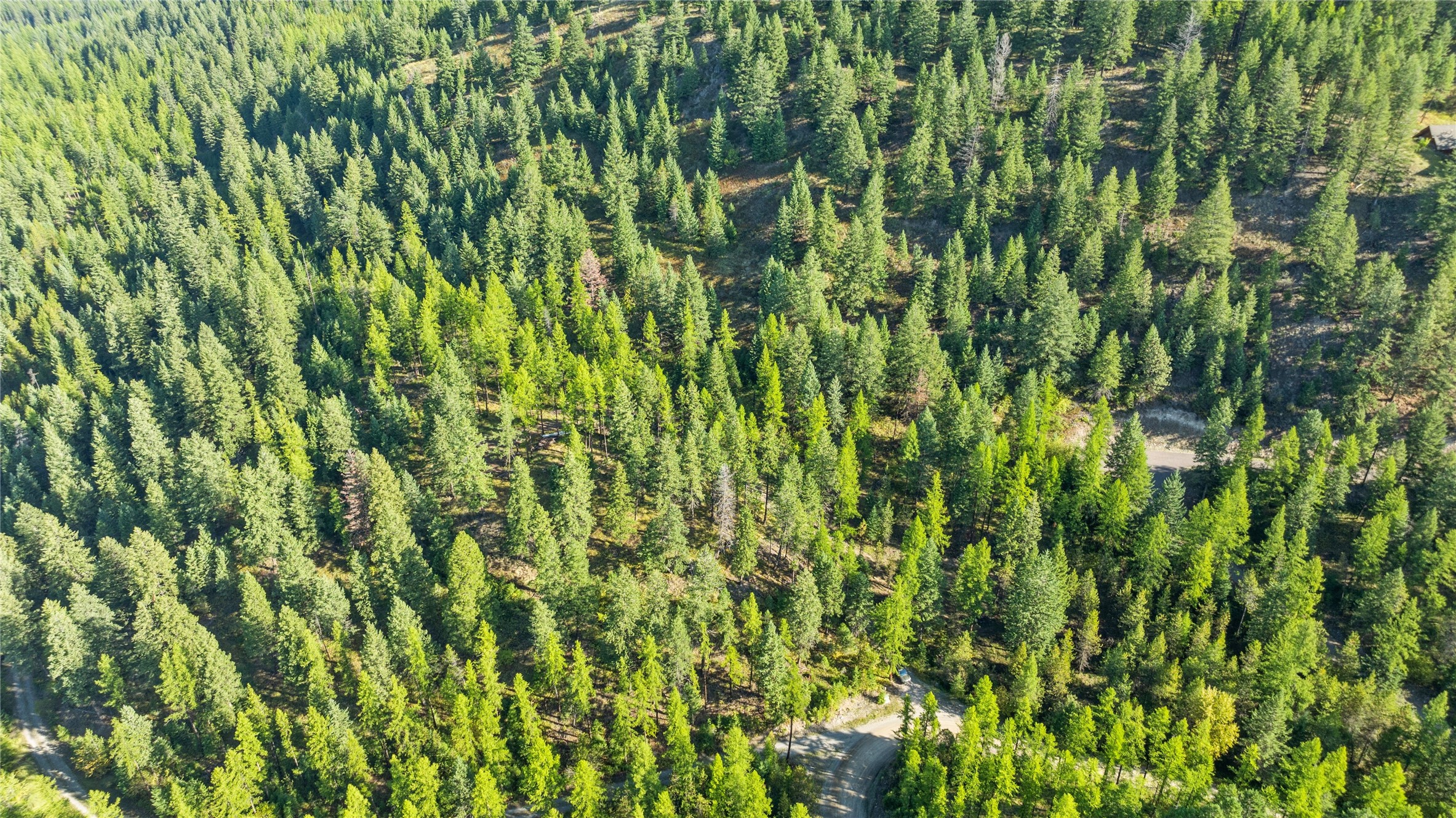 473 Antler Ridge Road