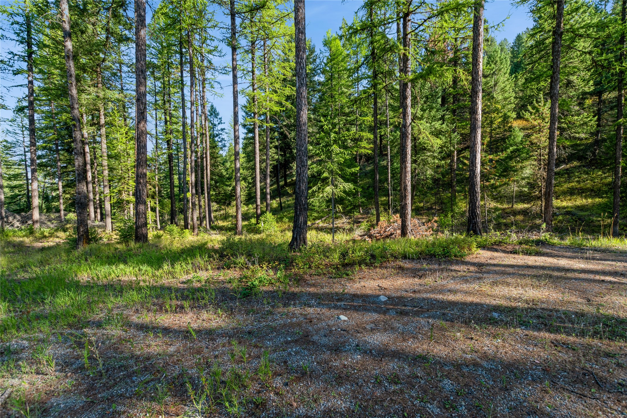 473 Antler Ridge Road