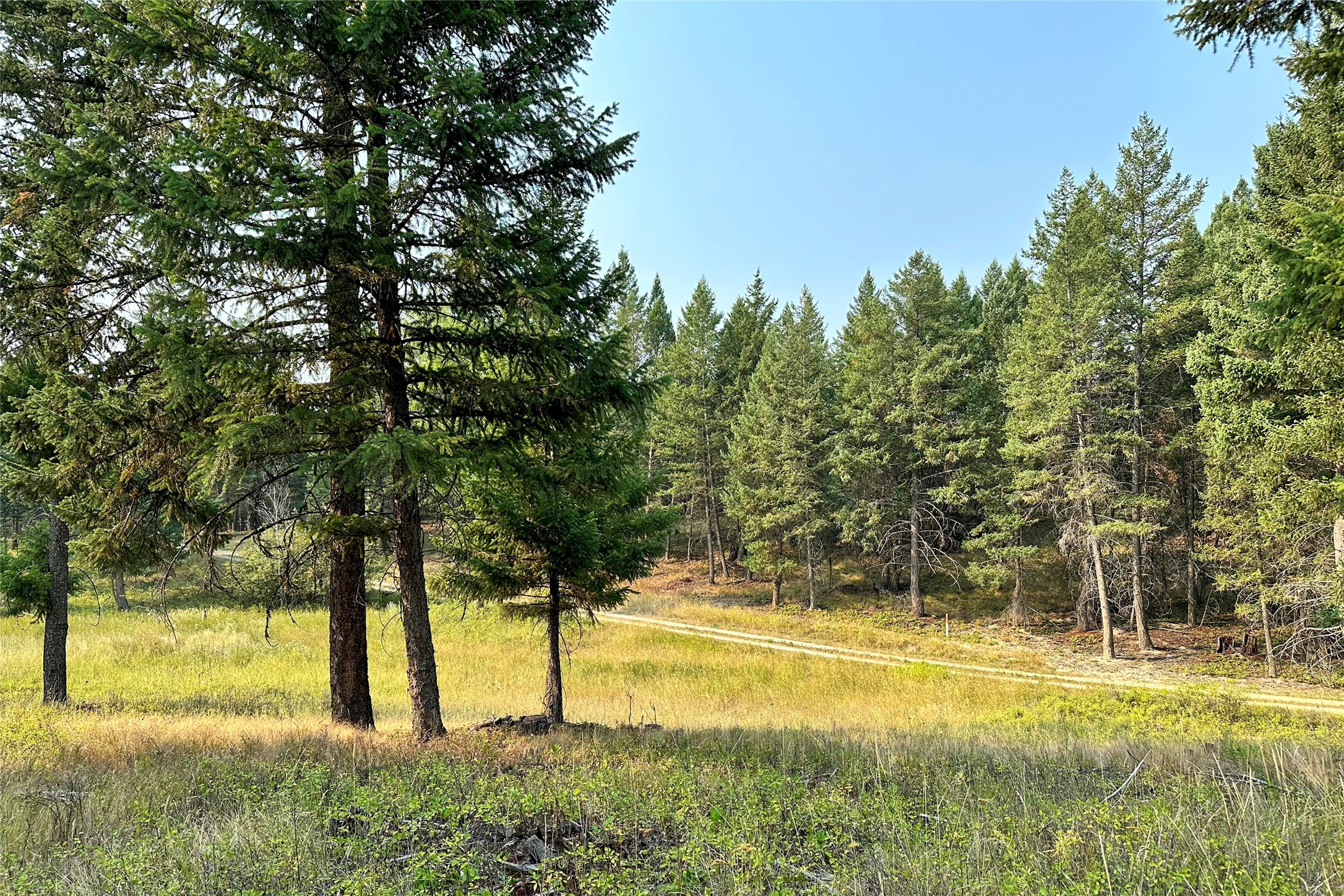 30.25 Acres Fortine Creek Road Lot 2A