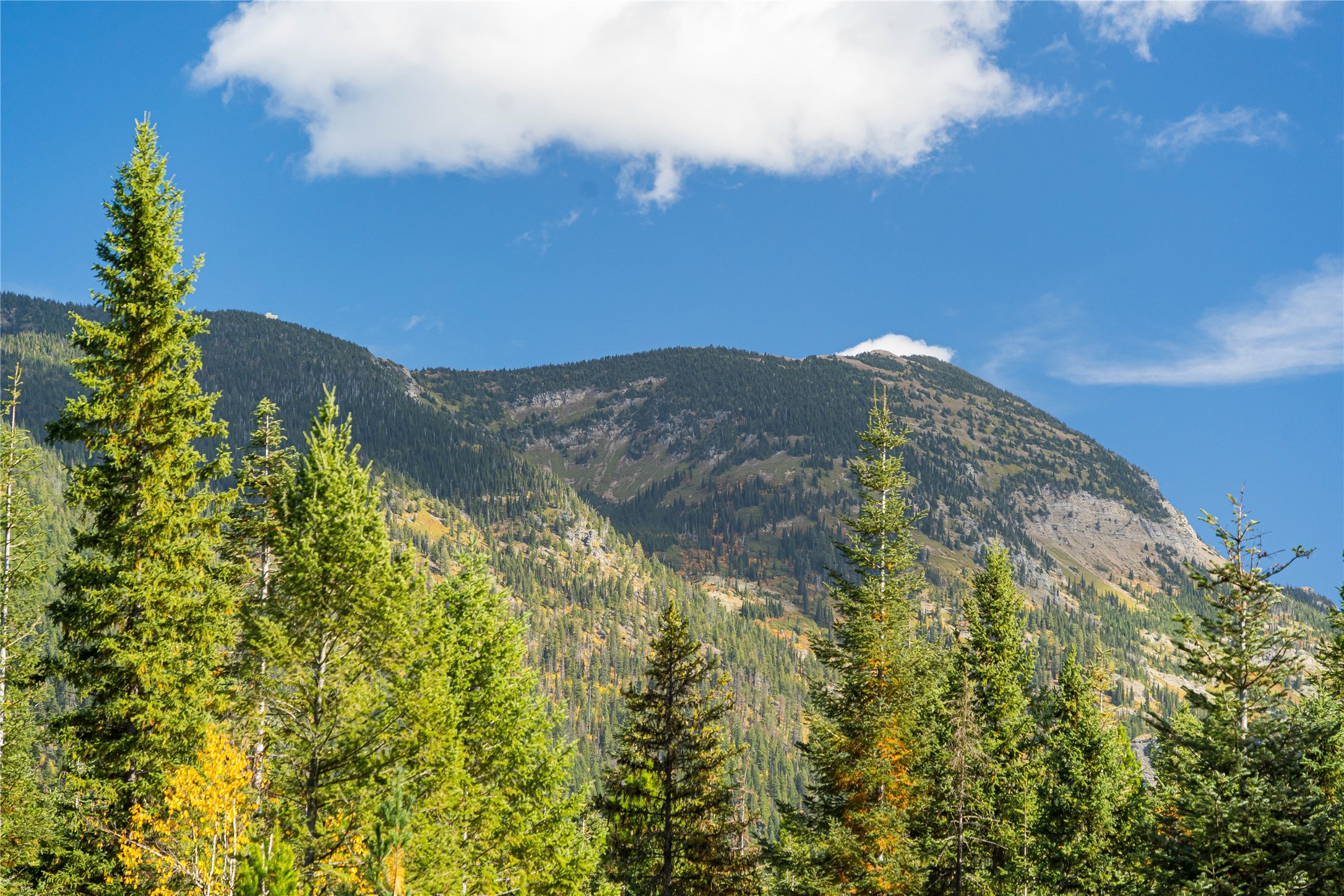 171 Jewel Basin Road