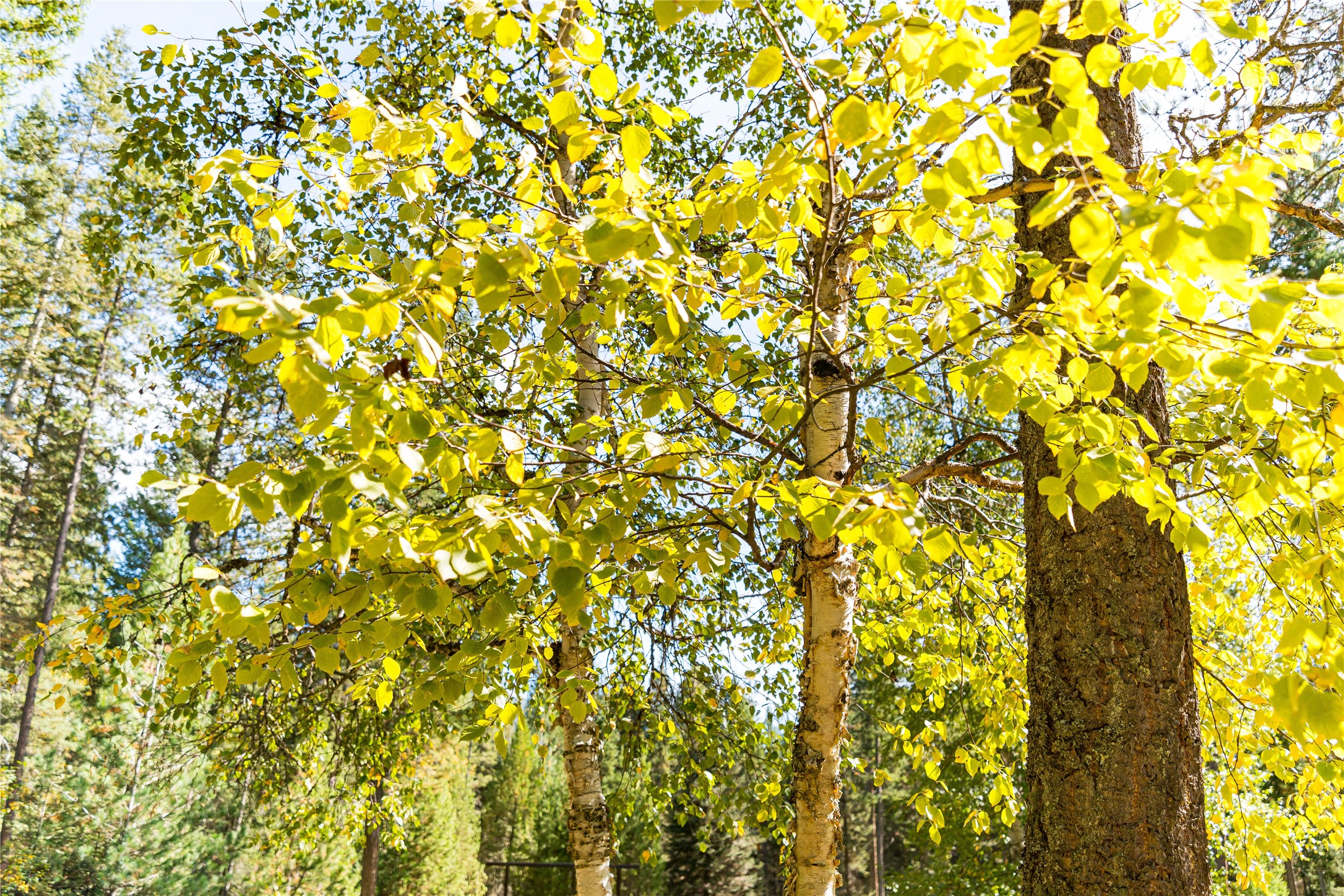 171 Jewel Basin Road