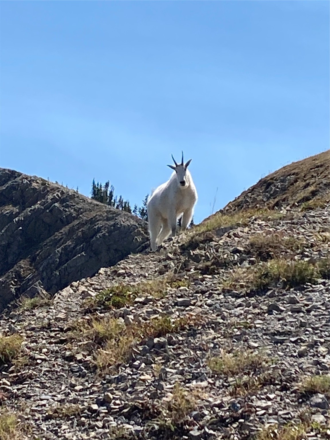 171 Jewel Basin Road