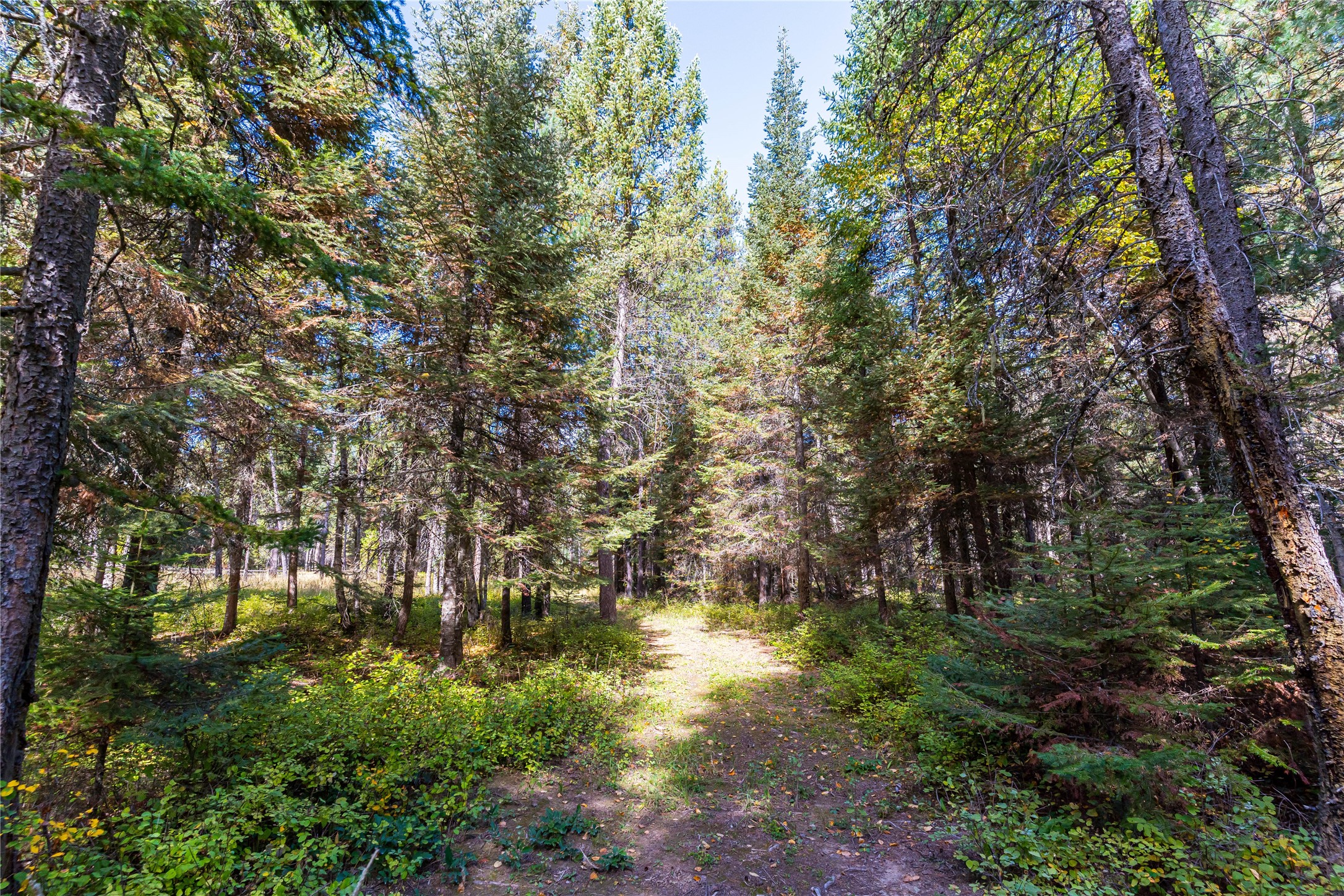 171 Jewel Basin Road