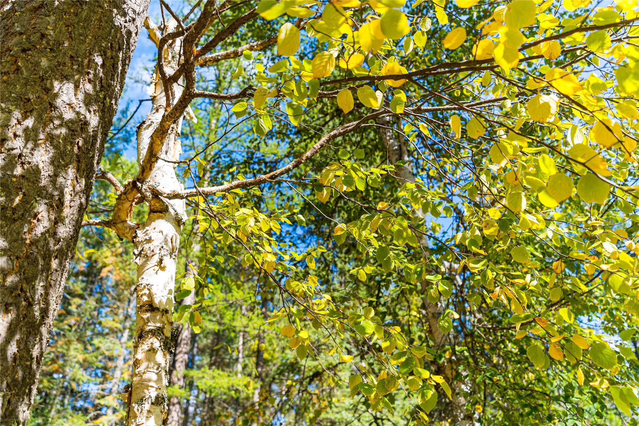 171 Jewel Basin Road