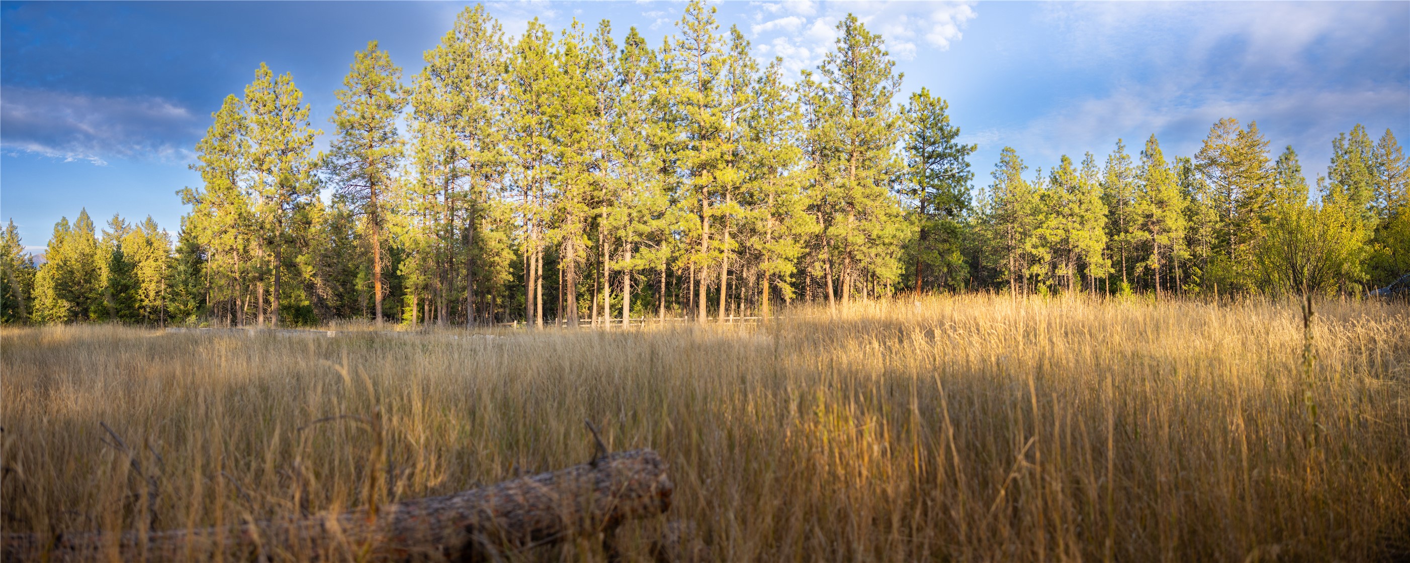 576 Koocanusa Estates Drive