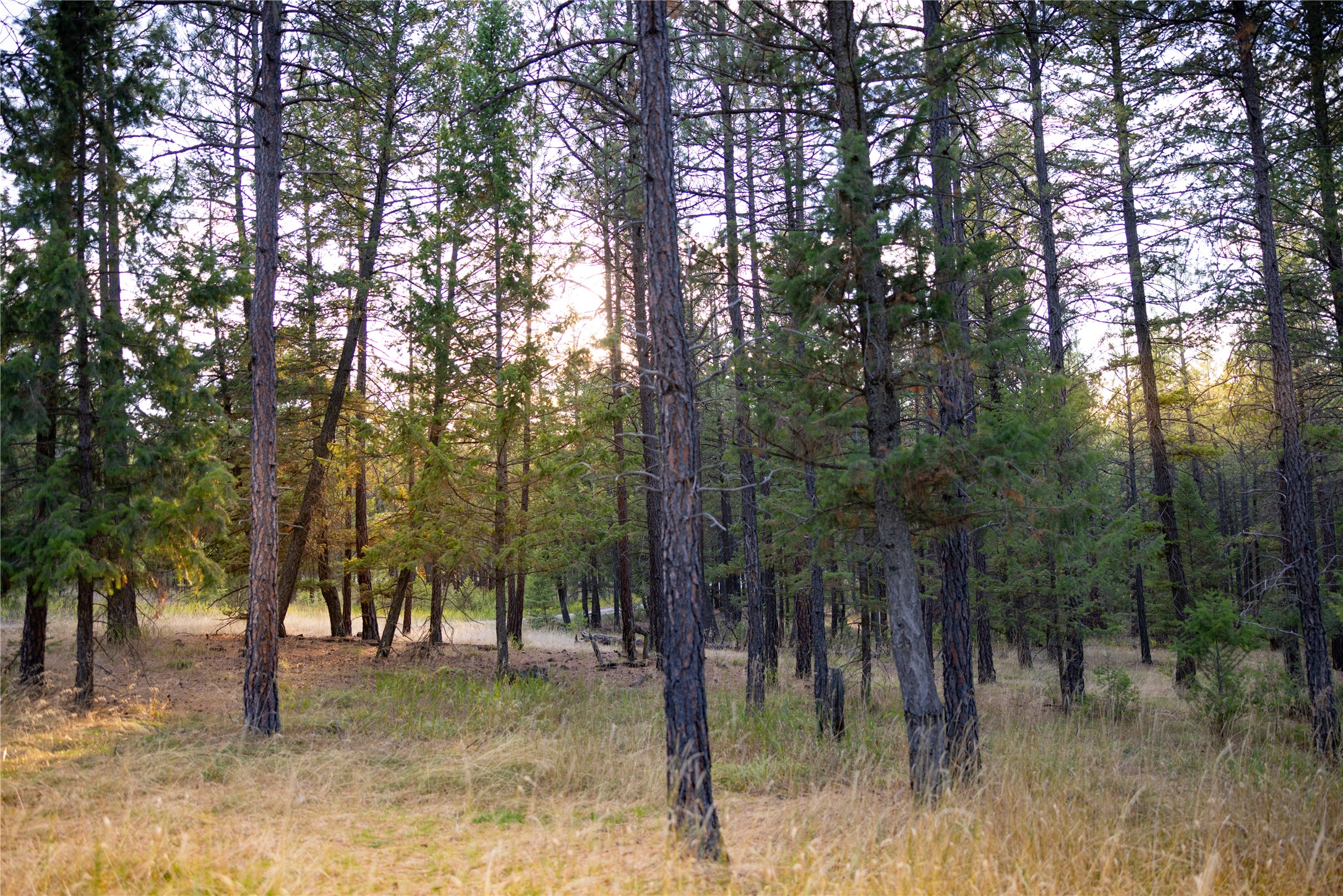 576 Koocanusa Estates Drive