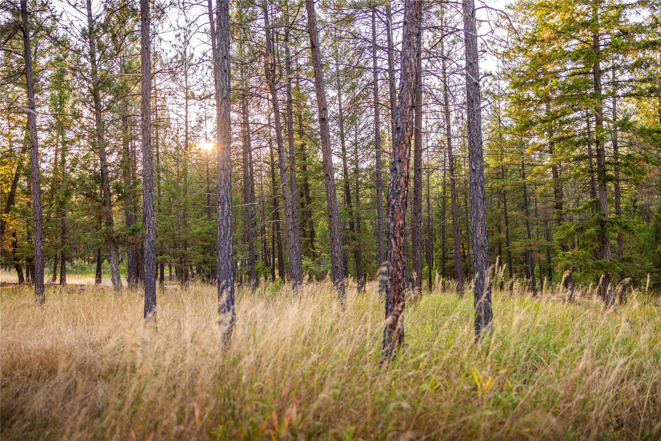 576 Koocanusa Estates Drive