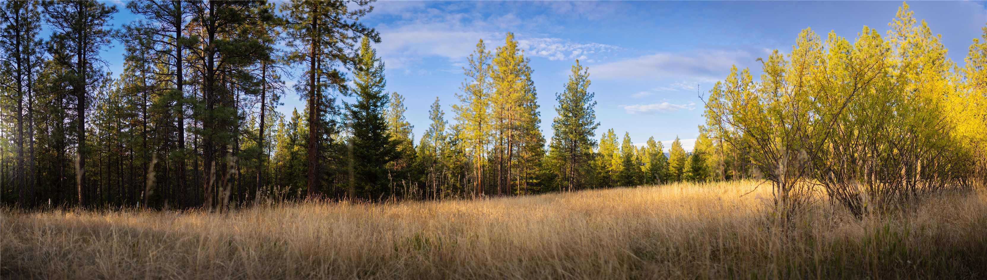 576 Koocanusa Estates Drive