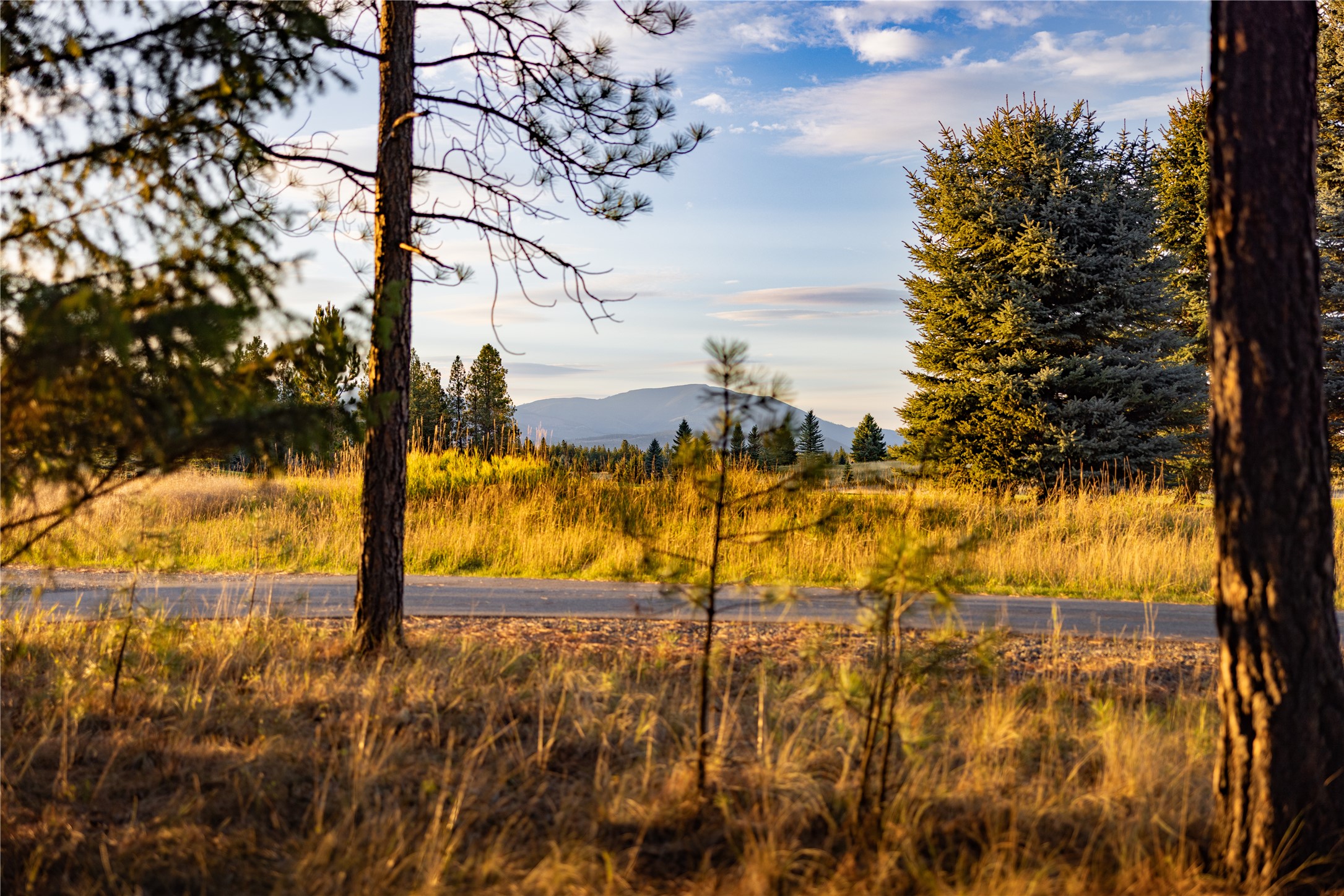 576 Koocanusa Estates Drive