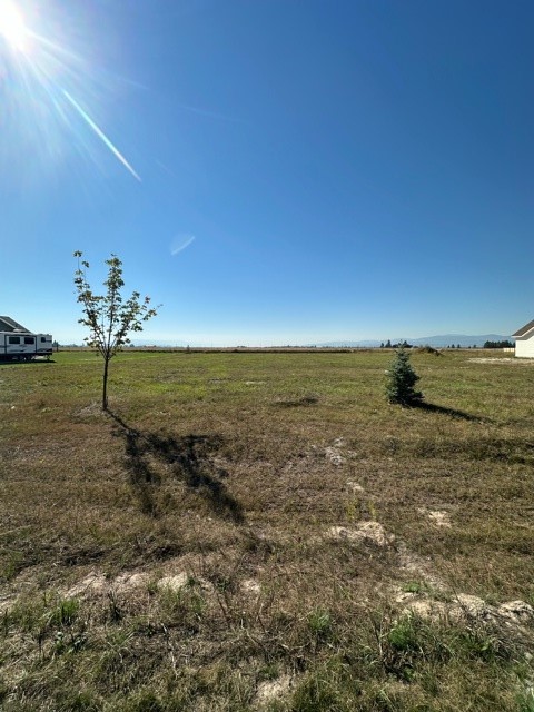 349 Jefferson Street