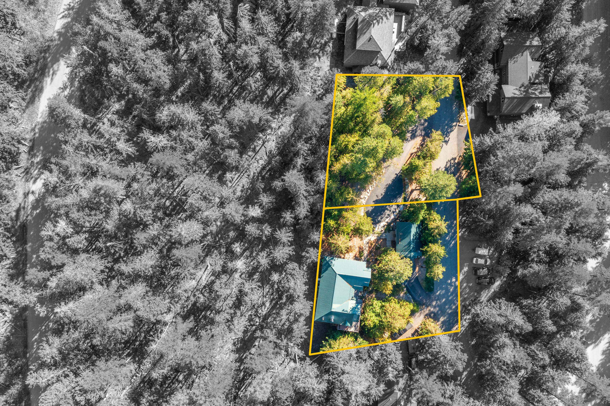 204 Cottonwood Drive