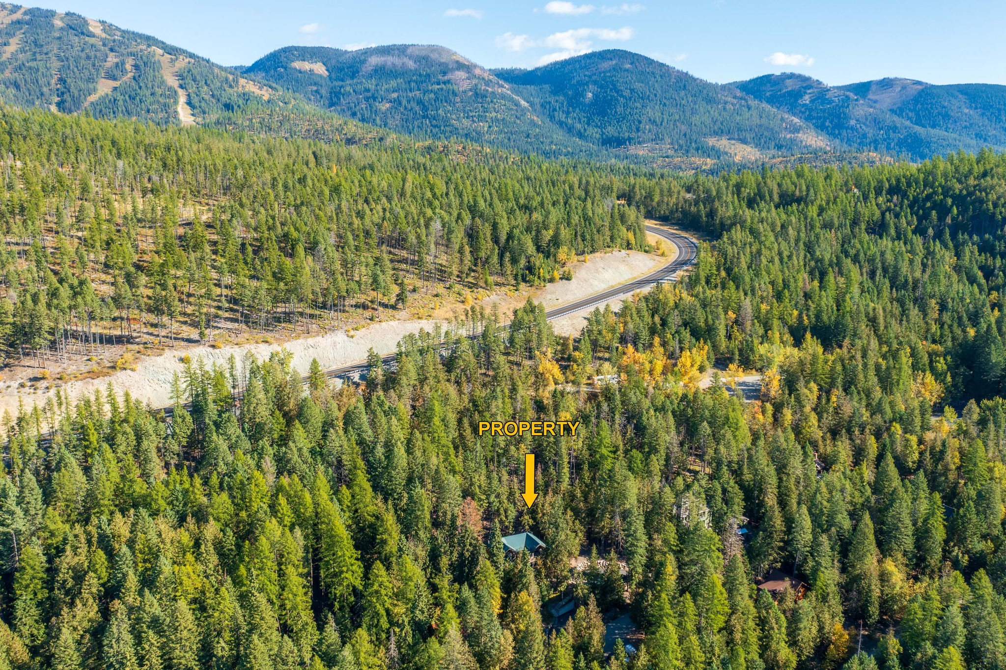 204 Cottonwood Drive