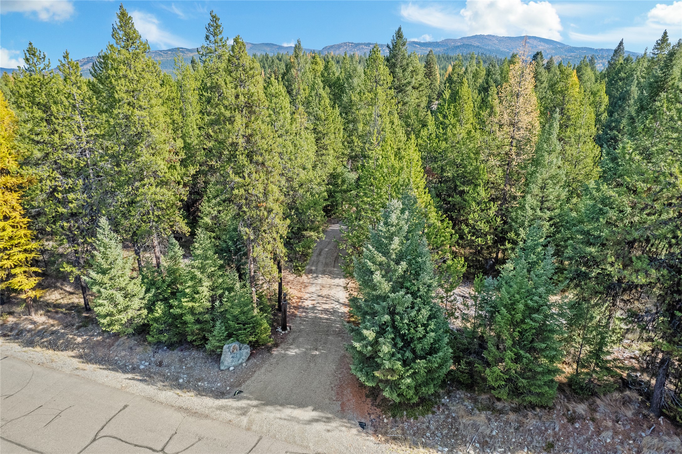572 Brookie Way