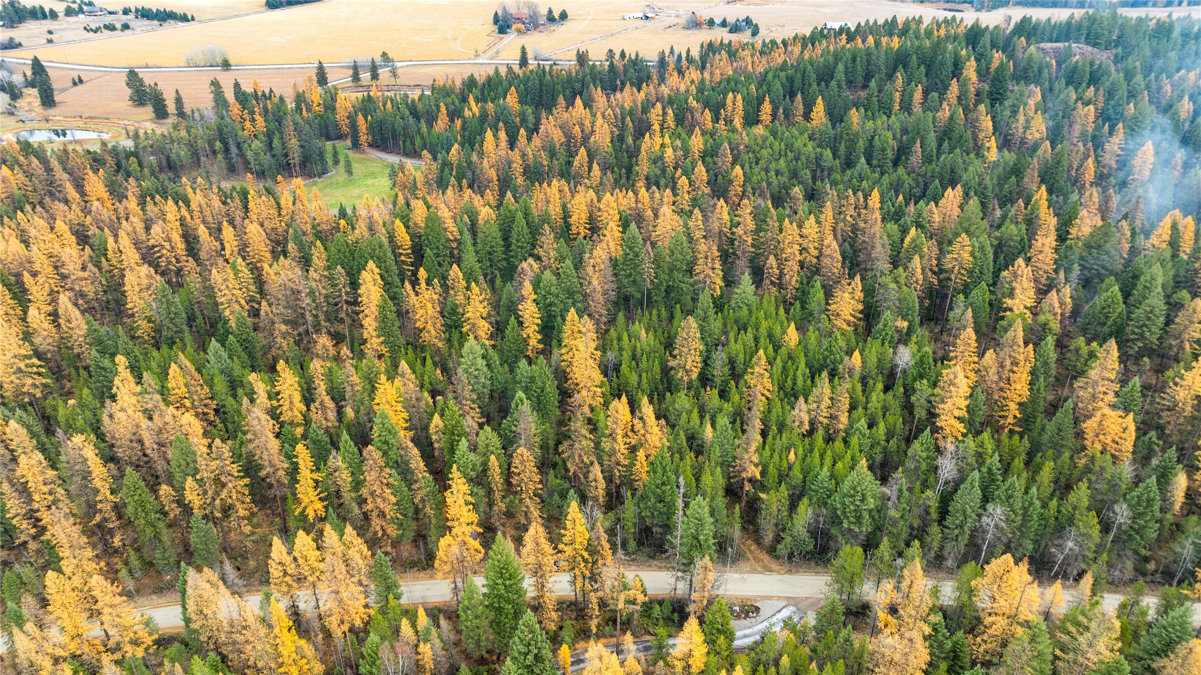 NHN Bootjack Lake Road