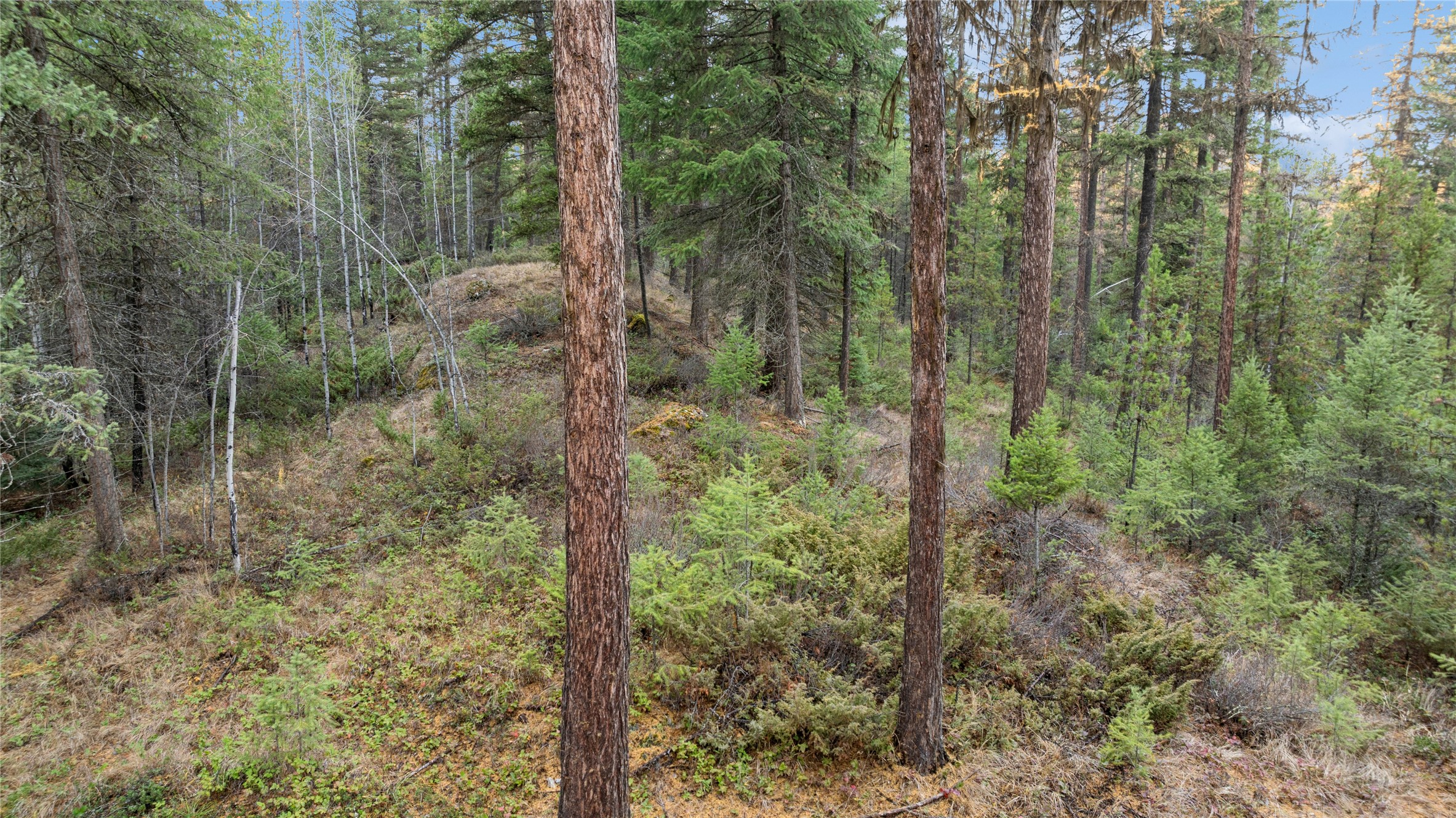 NHN Bootjack Lake Road