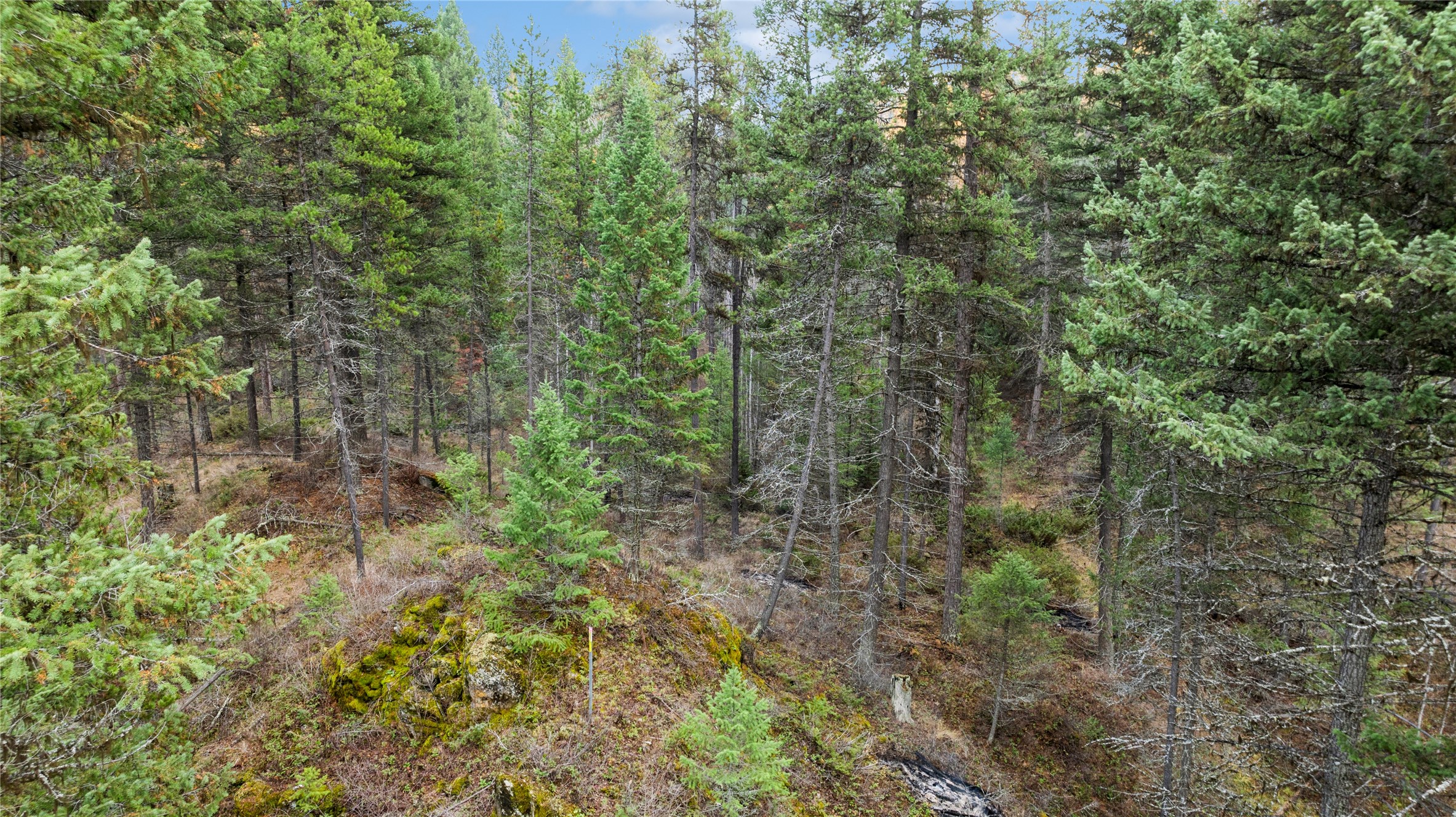 NHN Bootjack Lake Road