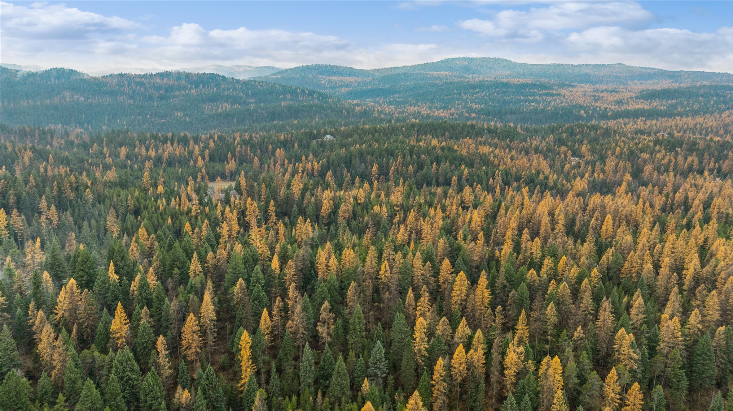 NHN Bootjack Lake Road