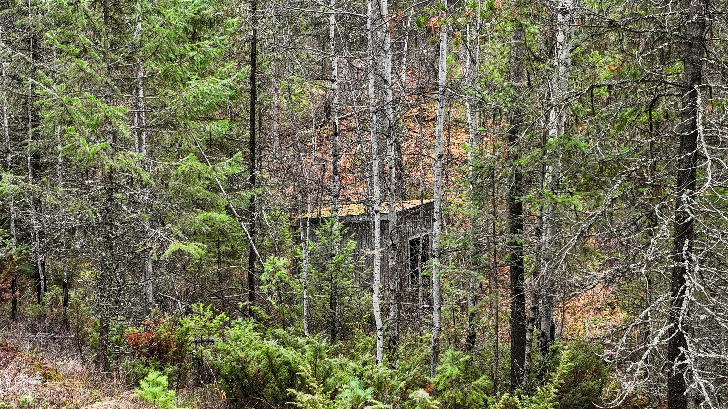 NHN Bootjack Lake Road