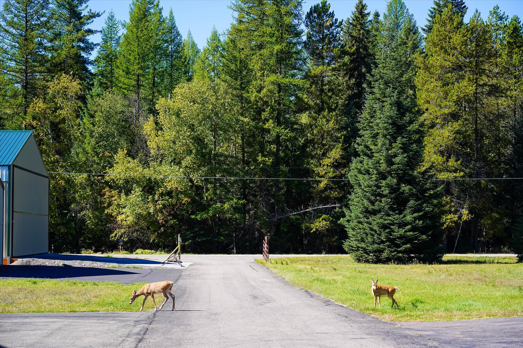 315 Ferndale Drive Lot 24