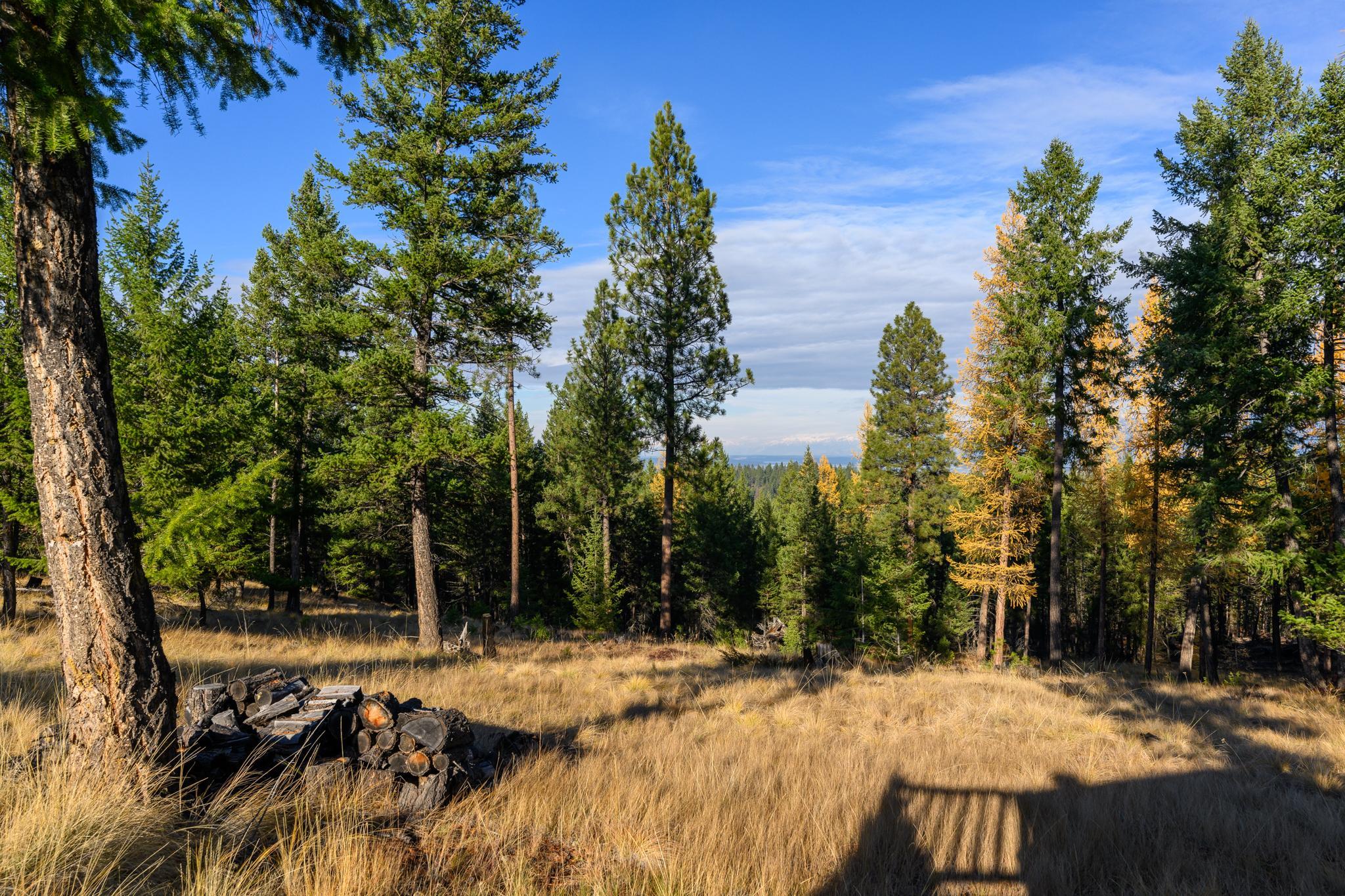 6877 Black Lake Road