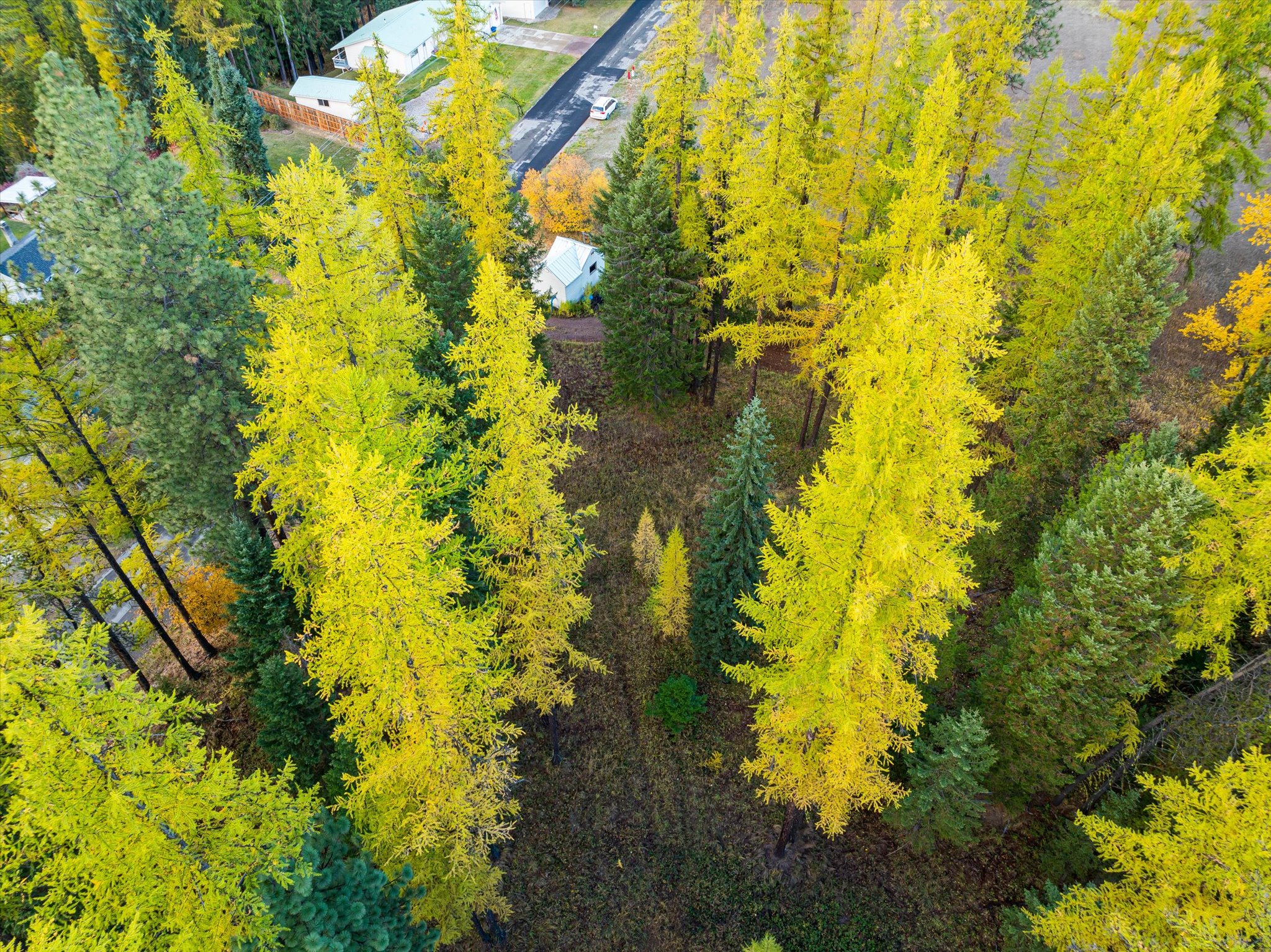 Lot 1 Cabinet Heights Road