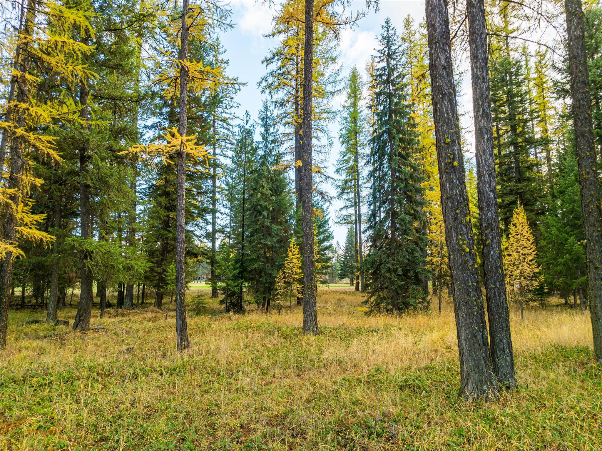 Lot 1 Cabinet Heights Road