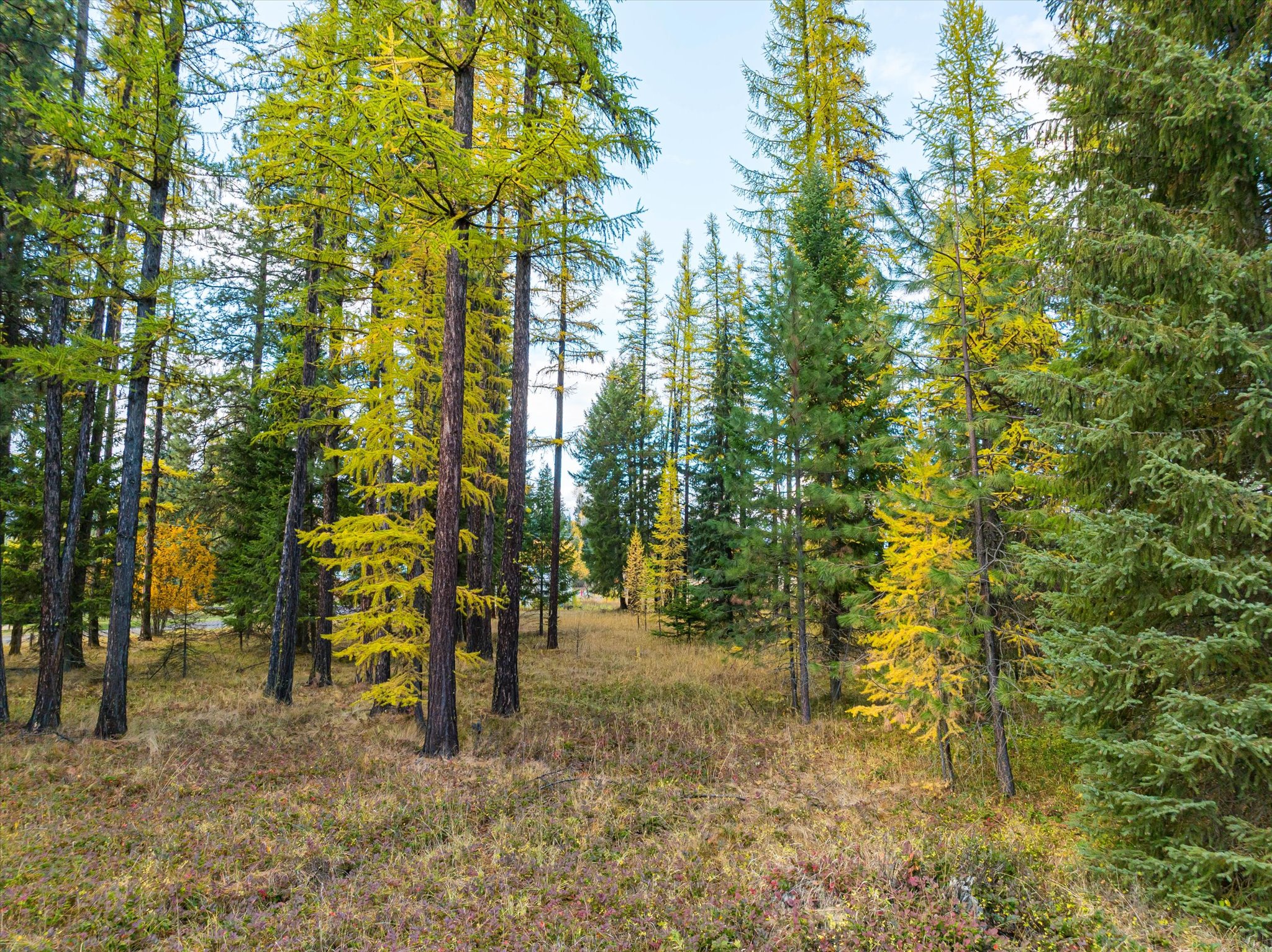 Lot 2 Cabinet Heights Road